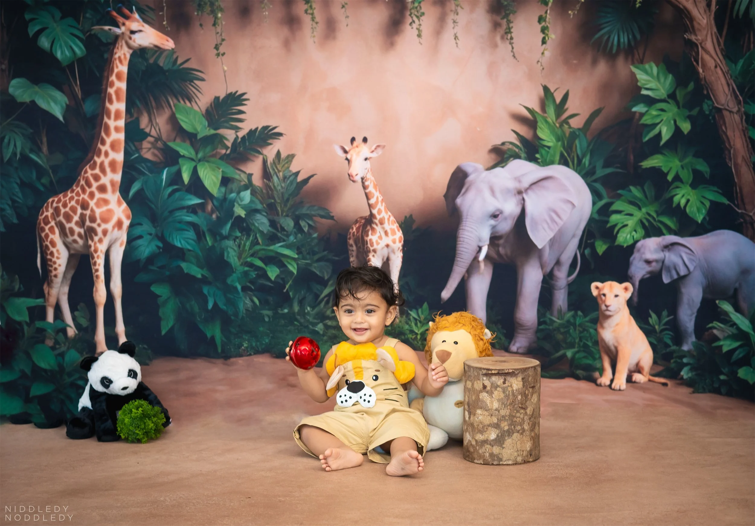 Daiwik+Baby+Cakesmash+Photoshoot+❤+NiddledyNoddledy.com+~+Bumps+to+Babies+Photographer,+Kolkata+-+08.jpg