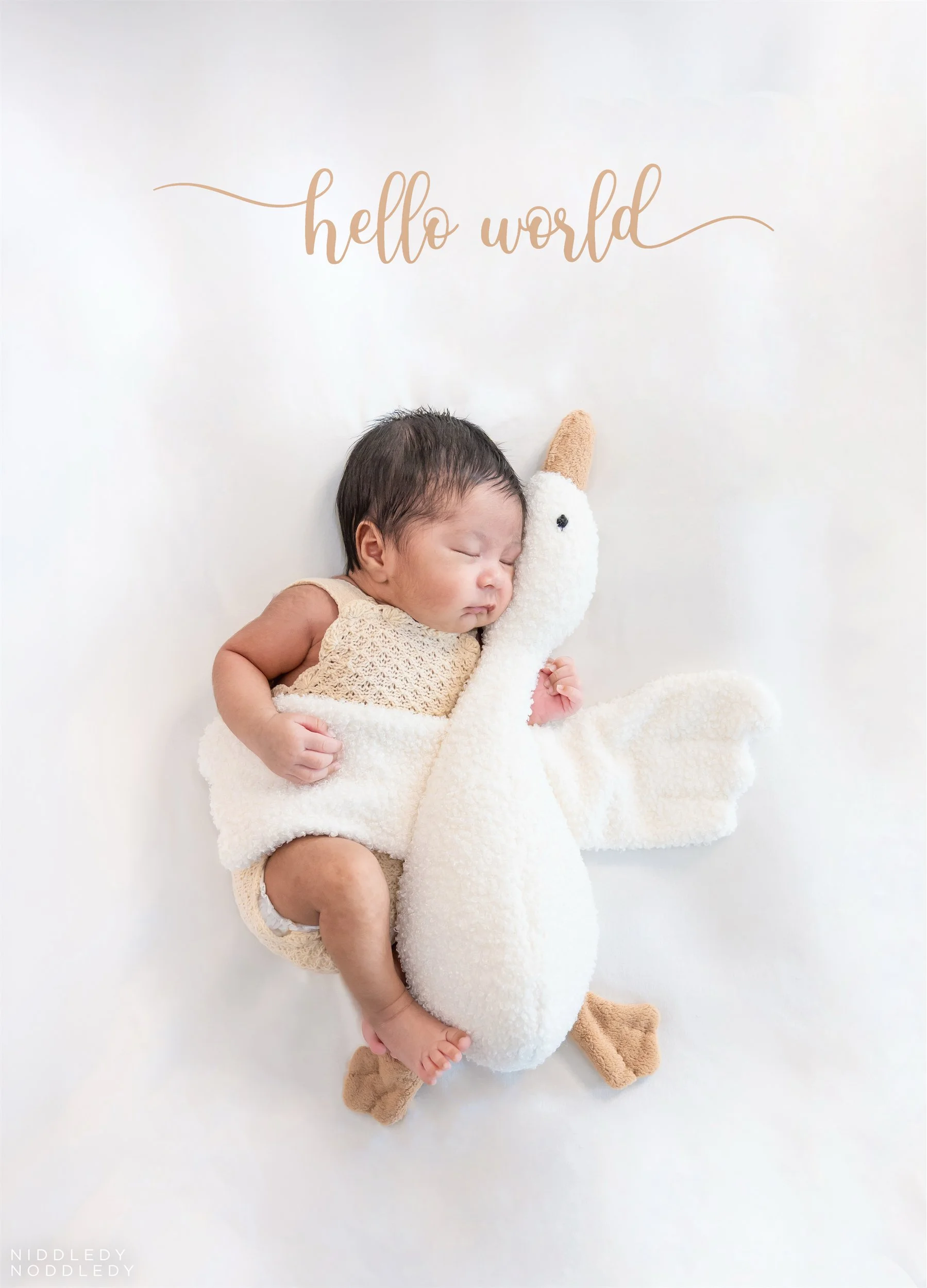 Vivan Newborn Baby Photoshoot ❤ NiddledyNoddledy.com ~ Bumps to Babies Photographer, Kolkata - 05.jpg