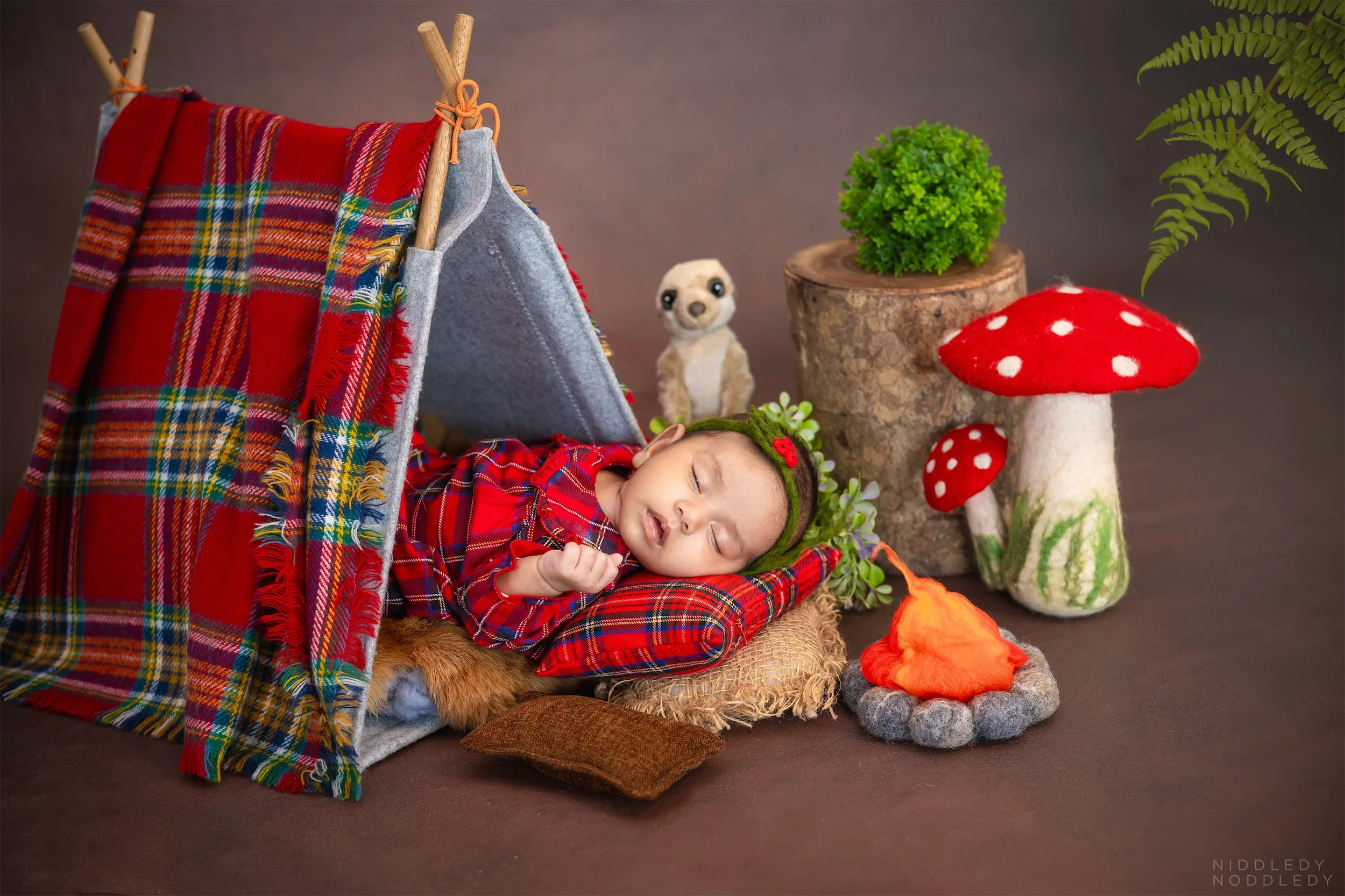 Pranvi Newborn Baby Photoshoot ❤ NiddledyNoddledy.com ~ Bumps to Babies Photographer, Kolkata - 02.jpg