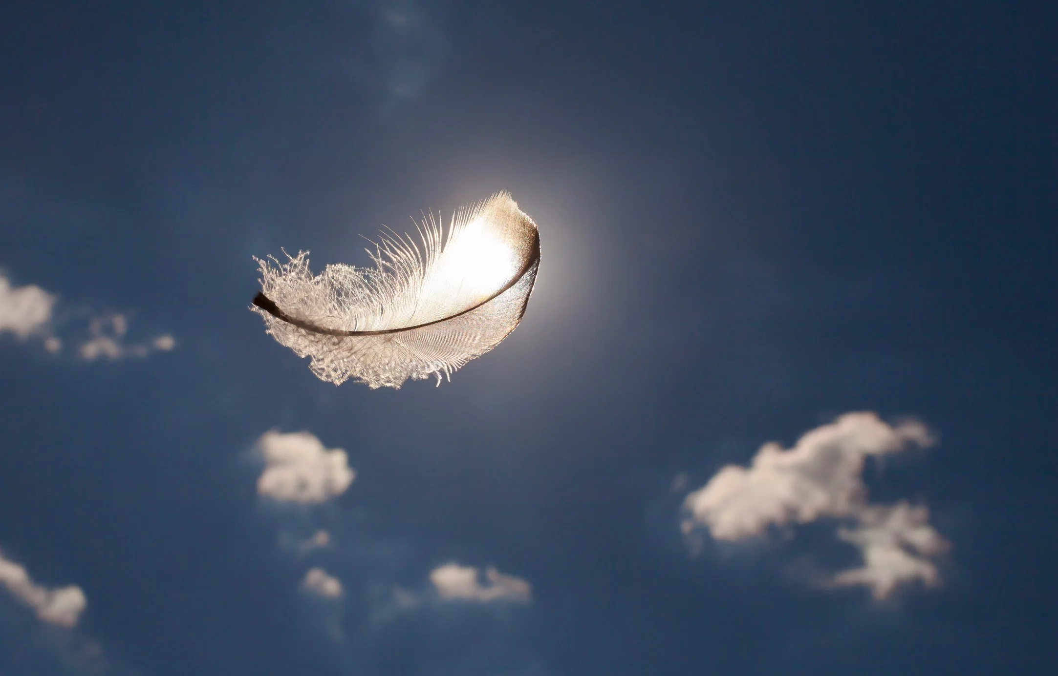 A delicate feather floating in the sky with the sun shining behind it and some scattered clouds.