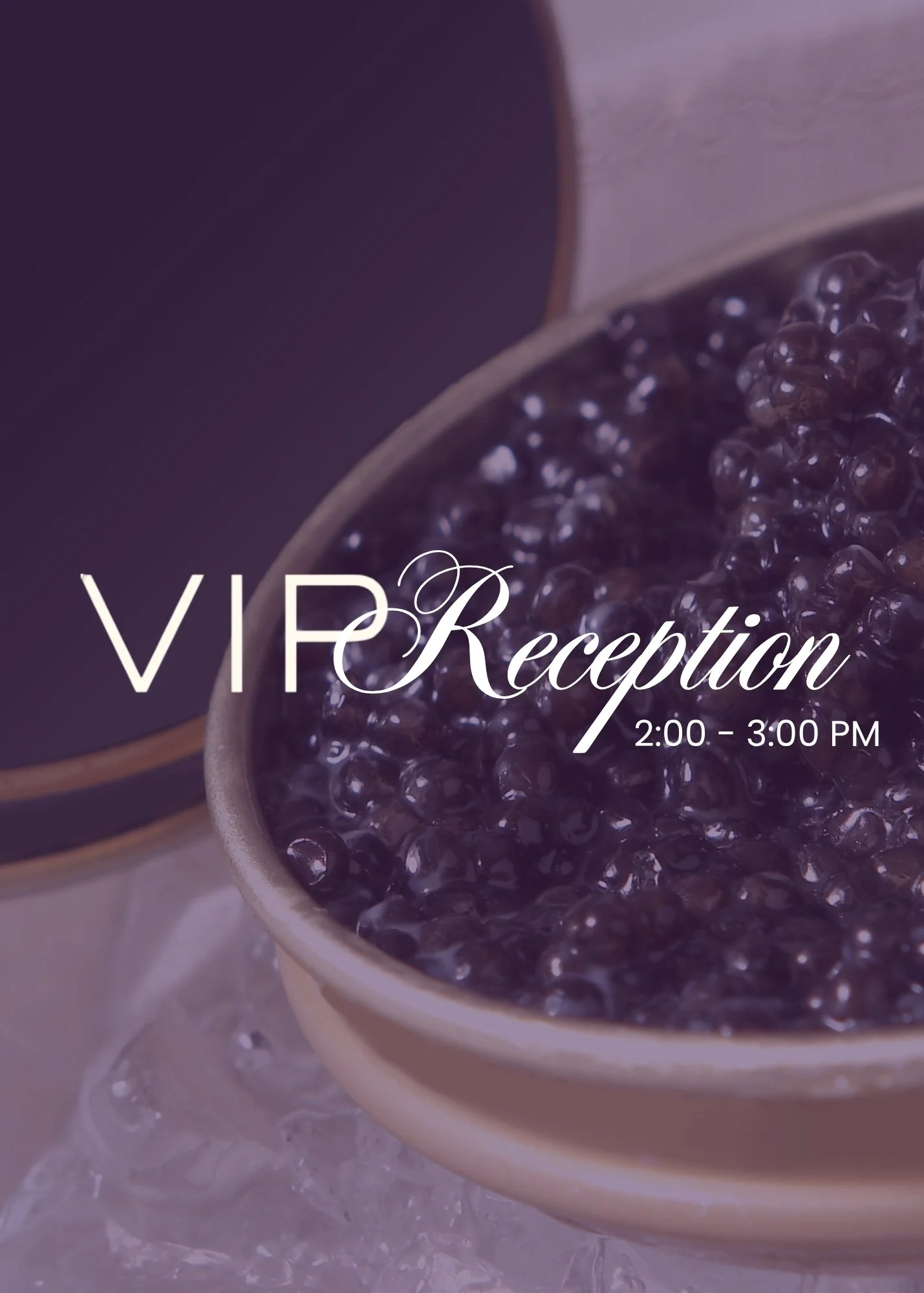 VIP Reception Ticket (2 - 3 PM)