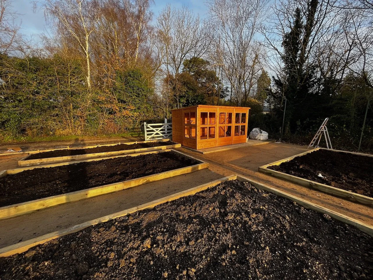 A garden with several empty raised beds outlined with wooden planks, and a small wooden shed in the background, surrounded by trees and a clear sky.
