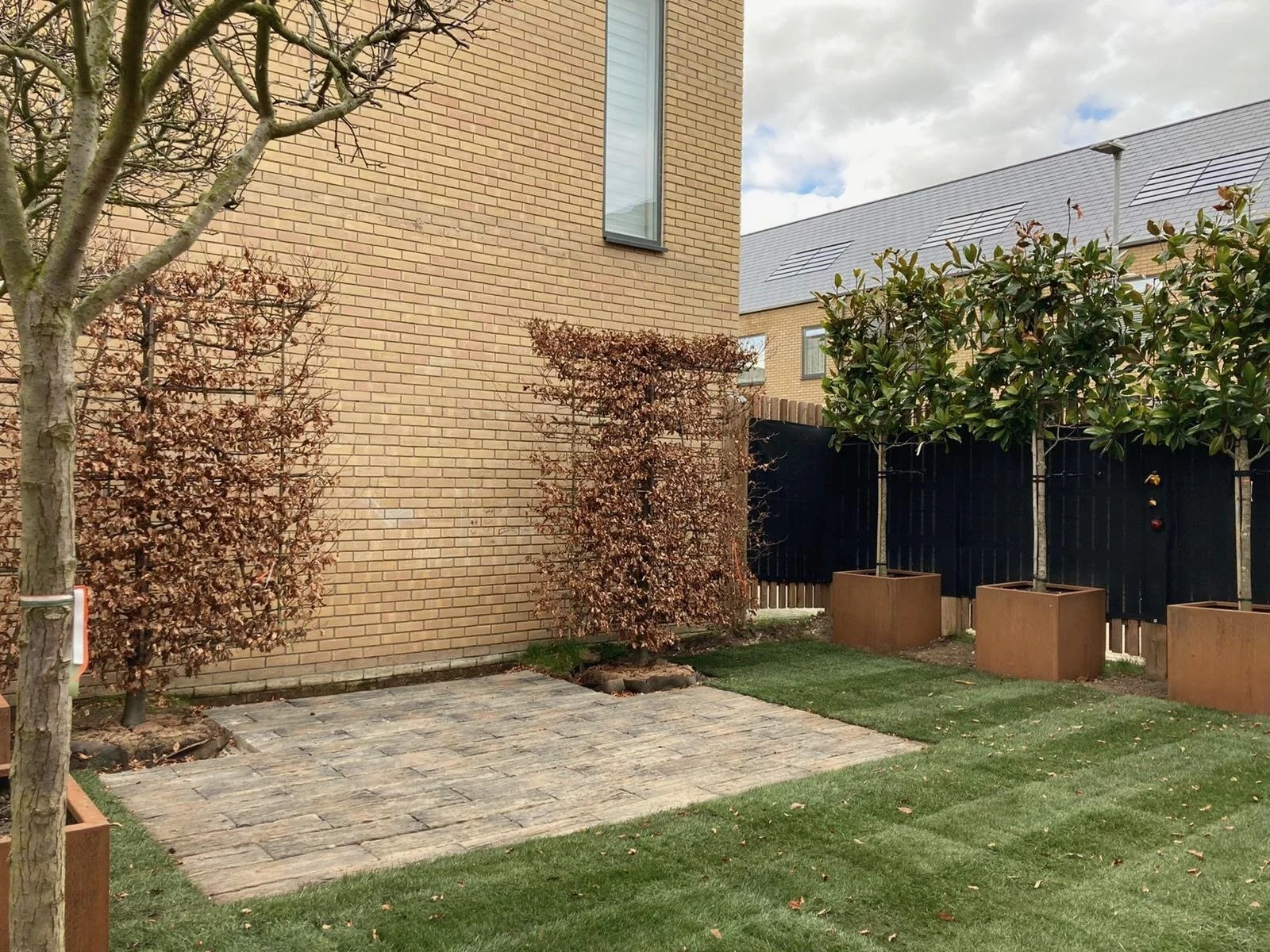 A backyard scene with a brick house exterior, trees, bushes, and a small lawn area. There is a paved area, a wooden fence with pleached evergreen Magnolia trees