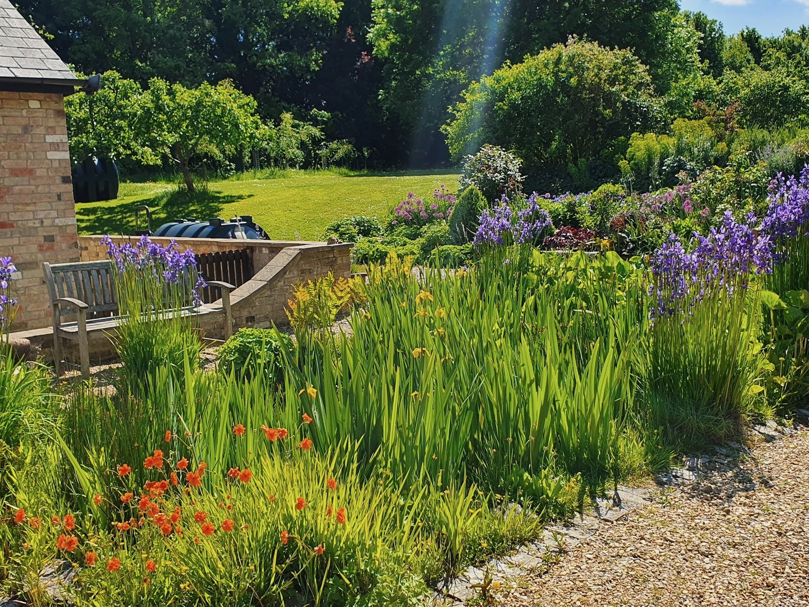 A vibrant garden scene with a grassy lawn, bushes, and trees in the background. Colorful flowers, including purple, orange, and yellow blooms, border a gravel path. A brick house wall is visible on the left side, and a bench is nestled among the flow