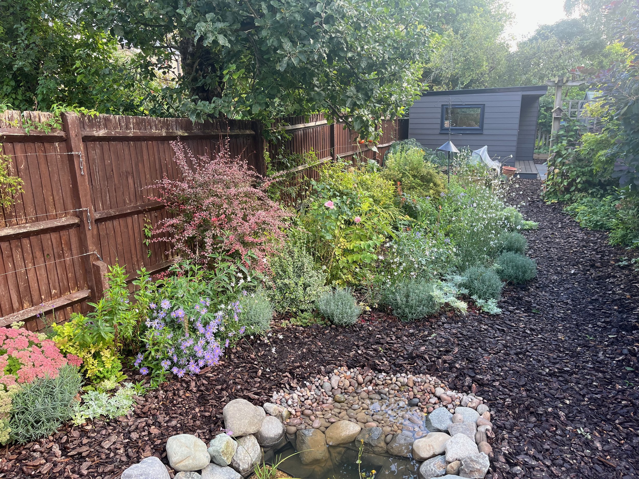 A lush backyard garden with a brown wooden fence, various colorful flowers, a small pond with rocks around it, and a small gray shed with a window. There are trees and vines creating a green canopy.