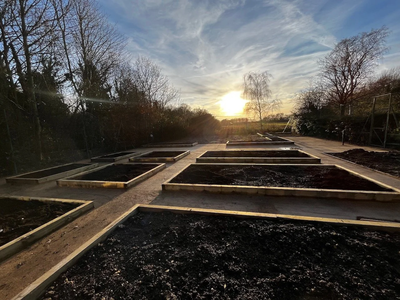 Empty wooden garden beds on a sunny outdoor landscape at sunset.