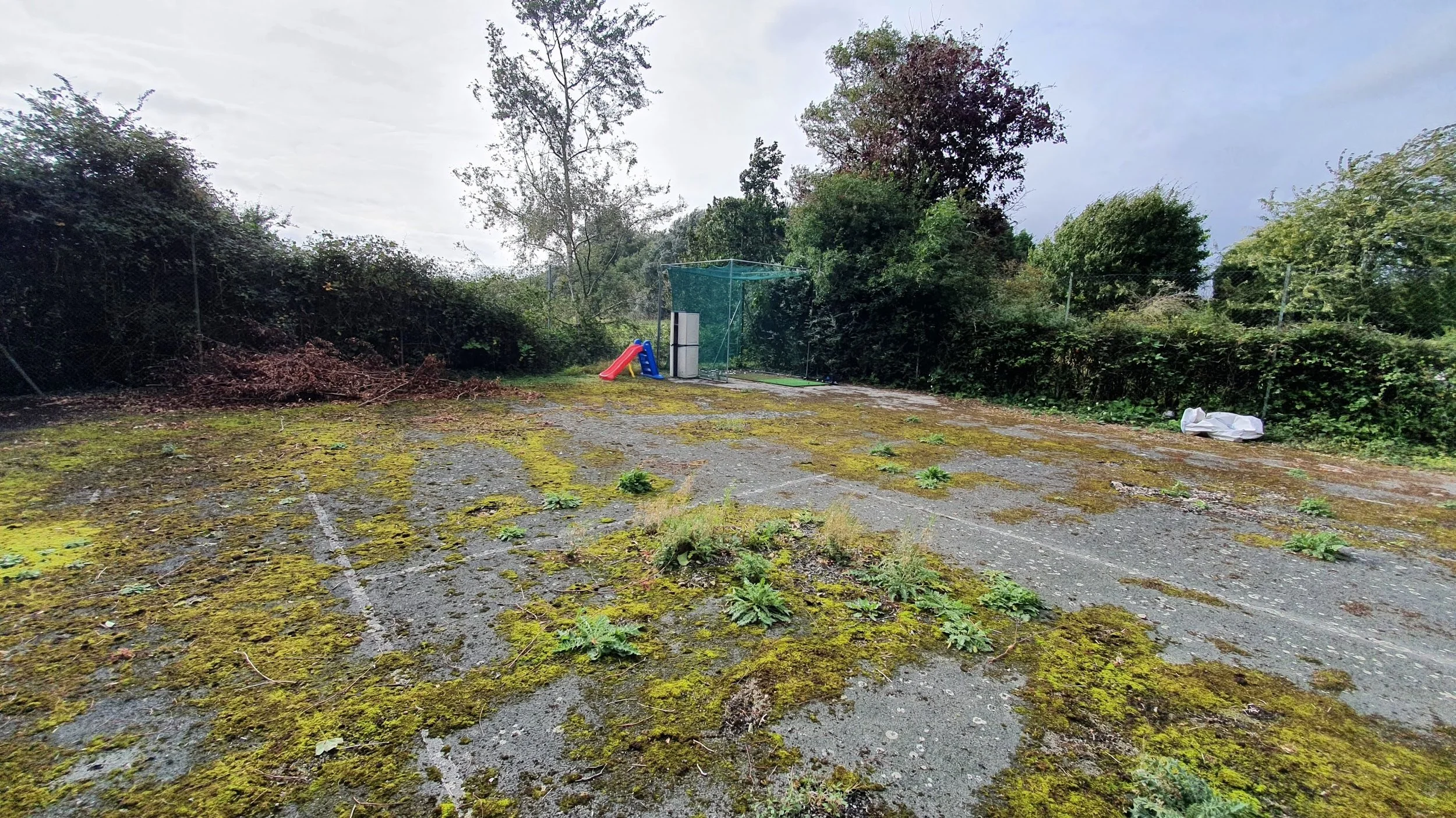 An outdoor area with a moss-covered asphalt surface, a small plastic slide, a net enclosure, and trees and bushes in the background.
