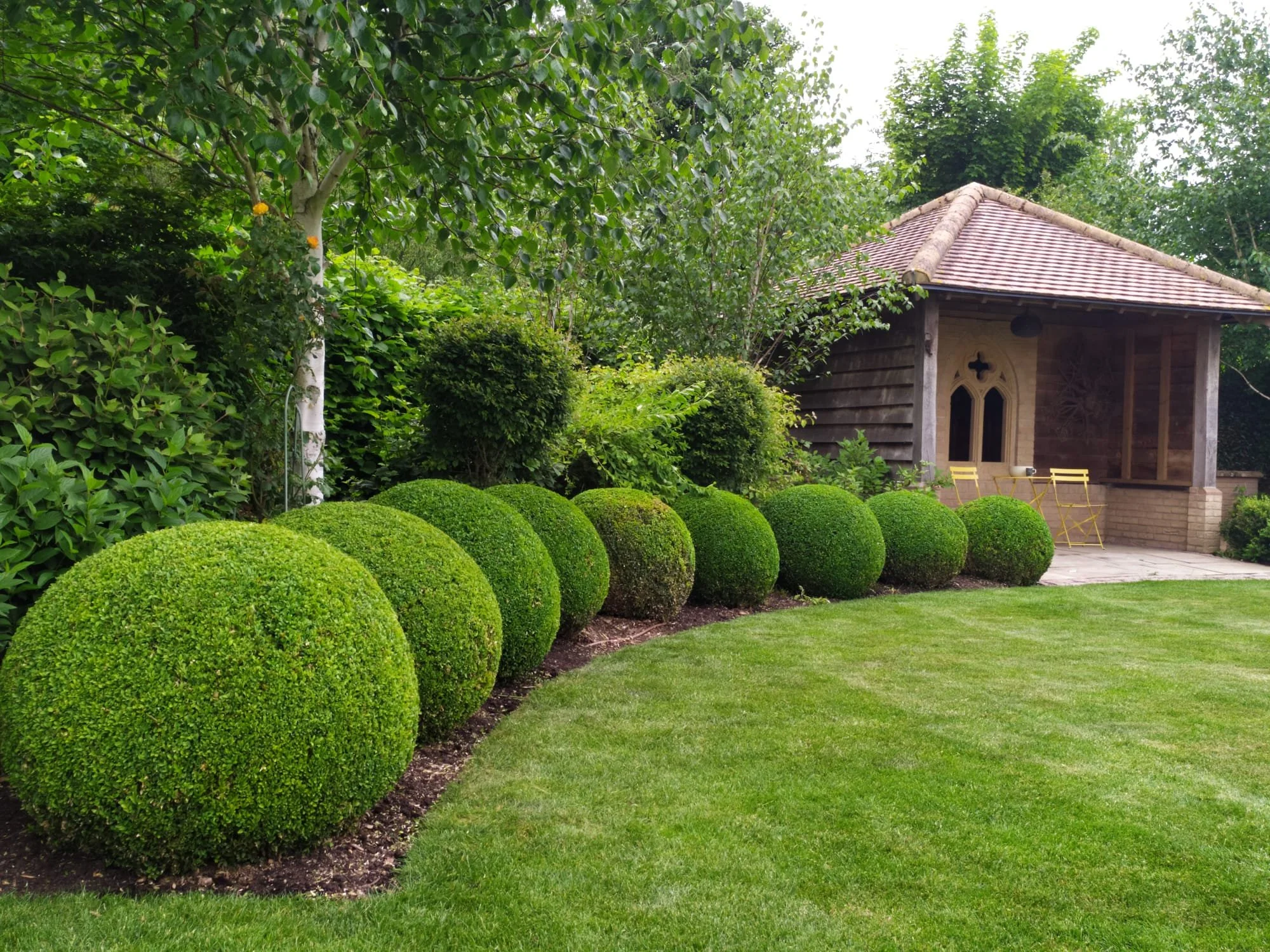 A garden with neatly trimmed spherical bushes in the foreground, a lush green tree on the left, and a wooden structure with a tiled roof on the right, surrounded by various shrubs and greenery.