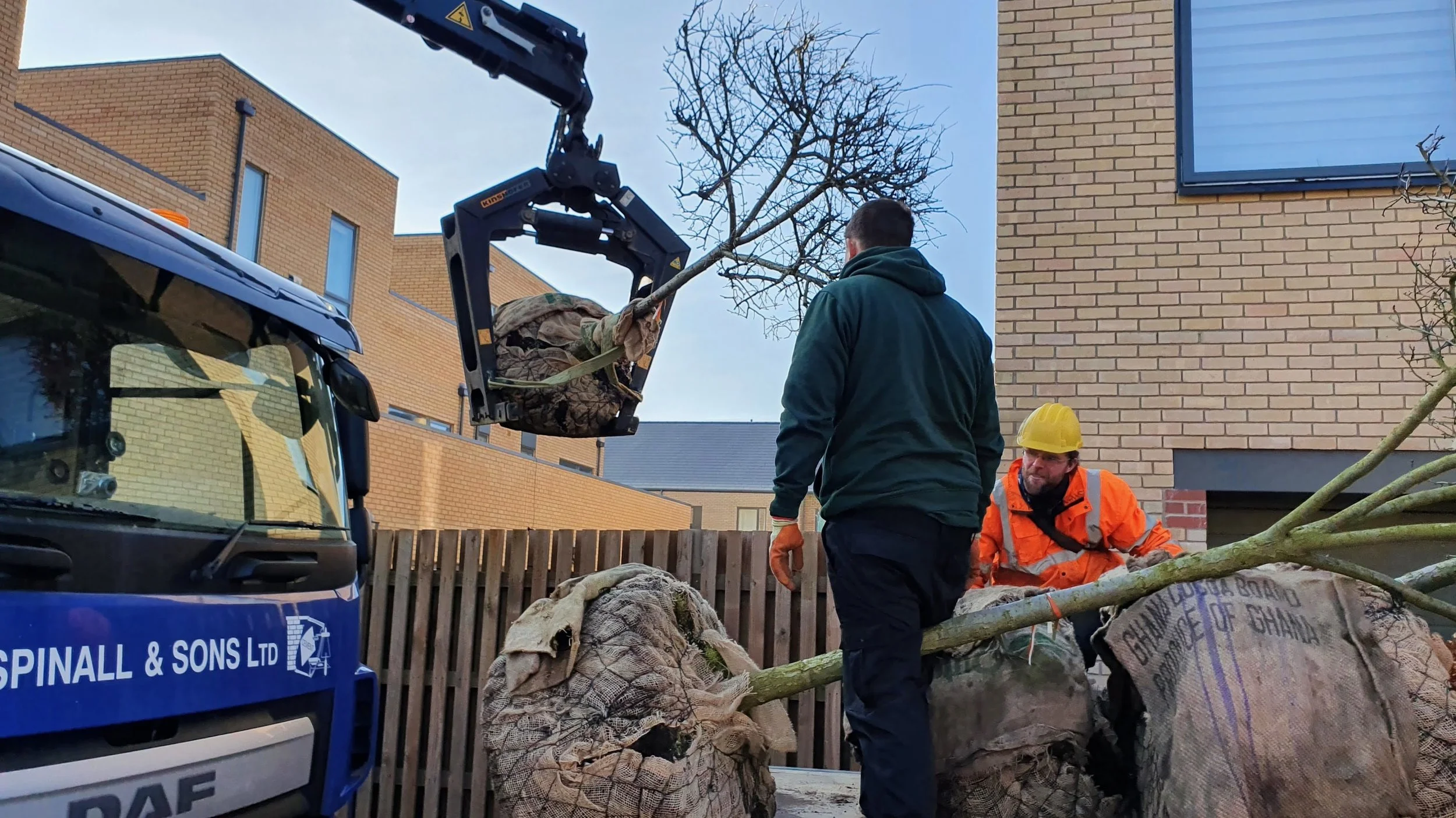 Workers in safety gear removing a fallen tree and debris from a residential yard using machinery and manual labor.