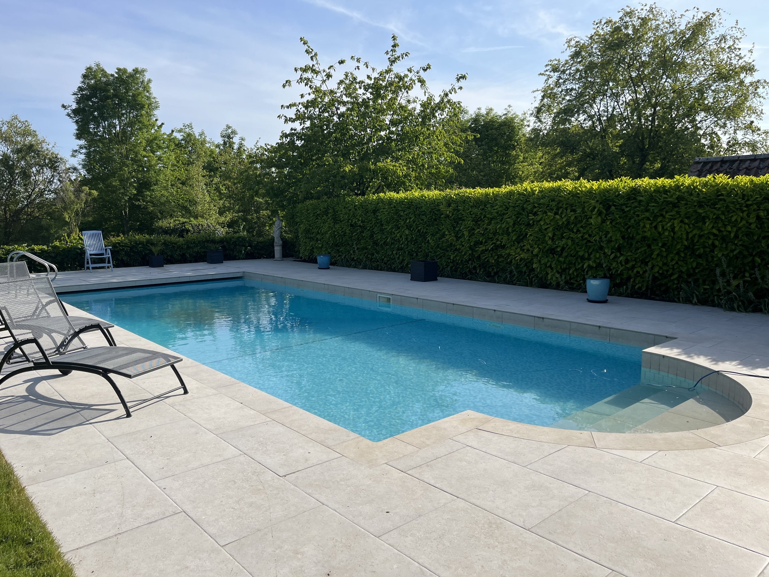 A backyard swimming pool with lounge chairs, surrounded by a concrete patio and green hedge, with tall trees in the background and a clear blue sky.