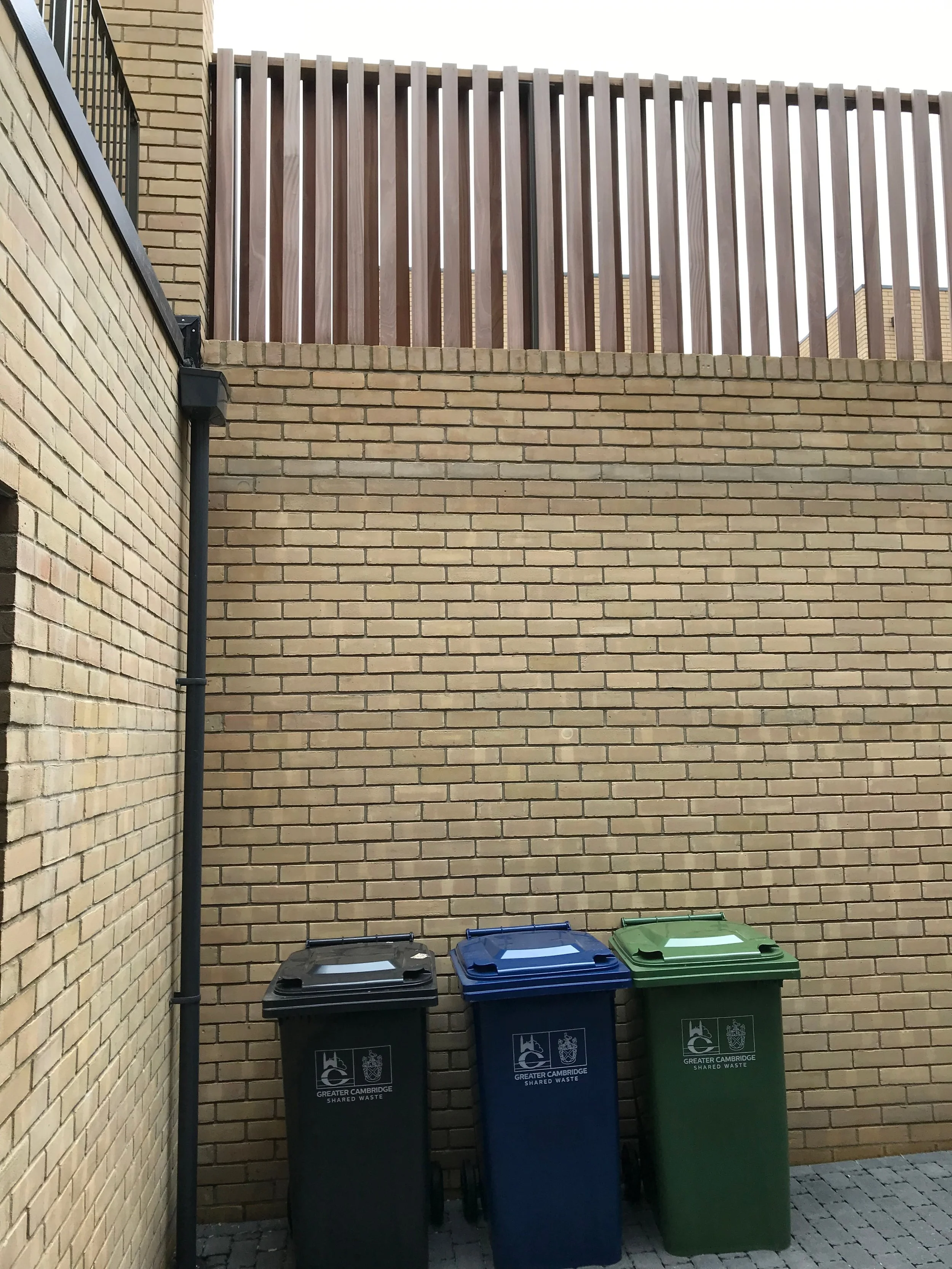 IMG_0387.jpeg
