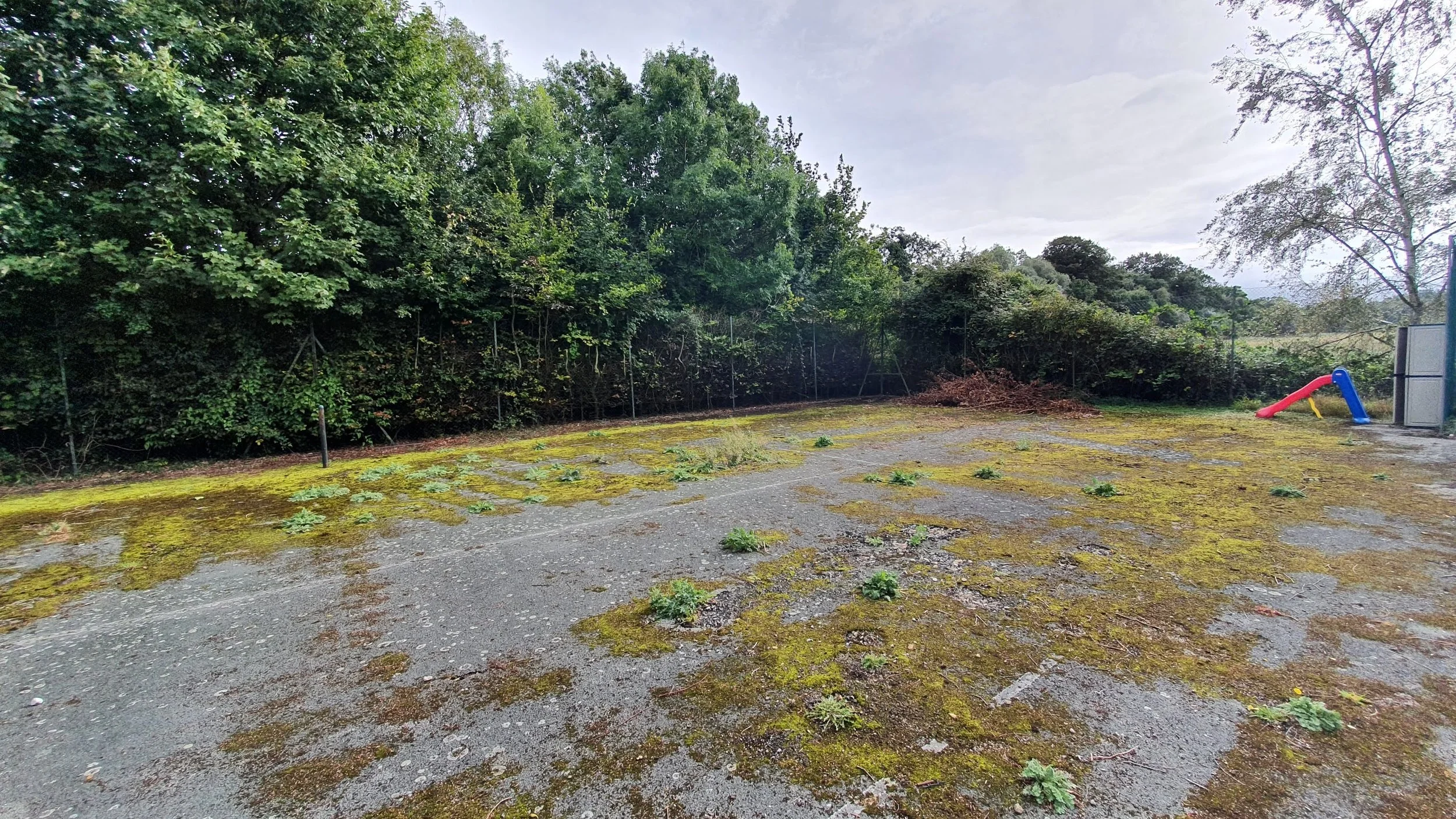 An overcast outdoor area with a moss-covered gravel surface, small plants growing between the moss, a dense green hedge on the left, and a children's slide with a blue and red base in the right background.