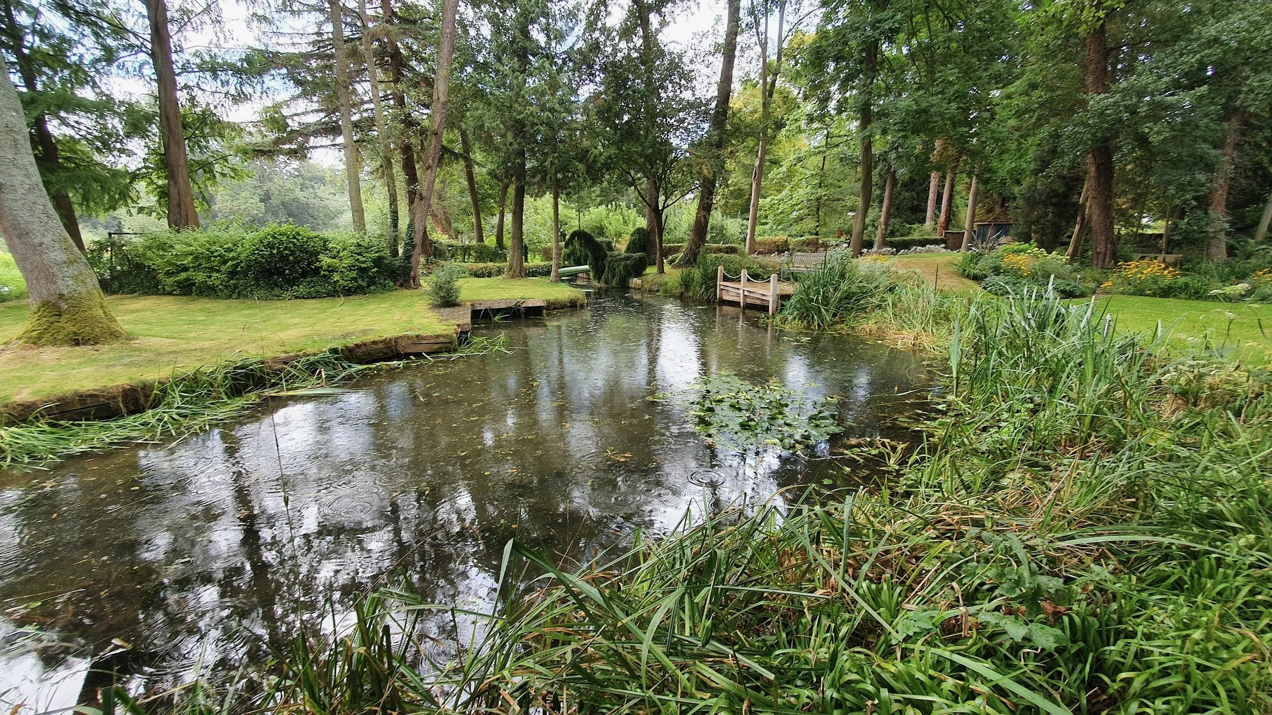 A peaceful garden scene with a small pond surrounded by lush green trees, bushes, and grass. There are benches along the pond, and the reflection of the trees can be seen in the water.