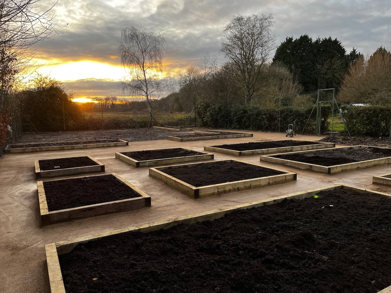 Multiple raised garden beds filled with dark soil on a sunny, cloudy evening in a backyard, with trees and a fence in the background.