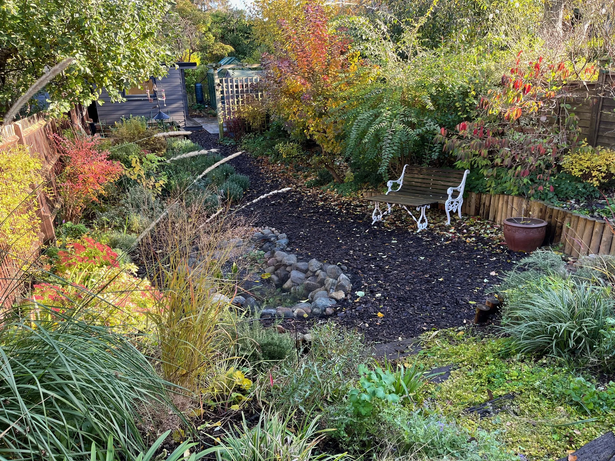 A lush garden with various trees and plants, a wooden fence and a garden bench, a pathway, and a small shed in the background.