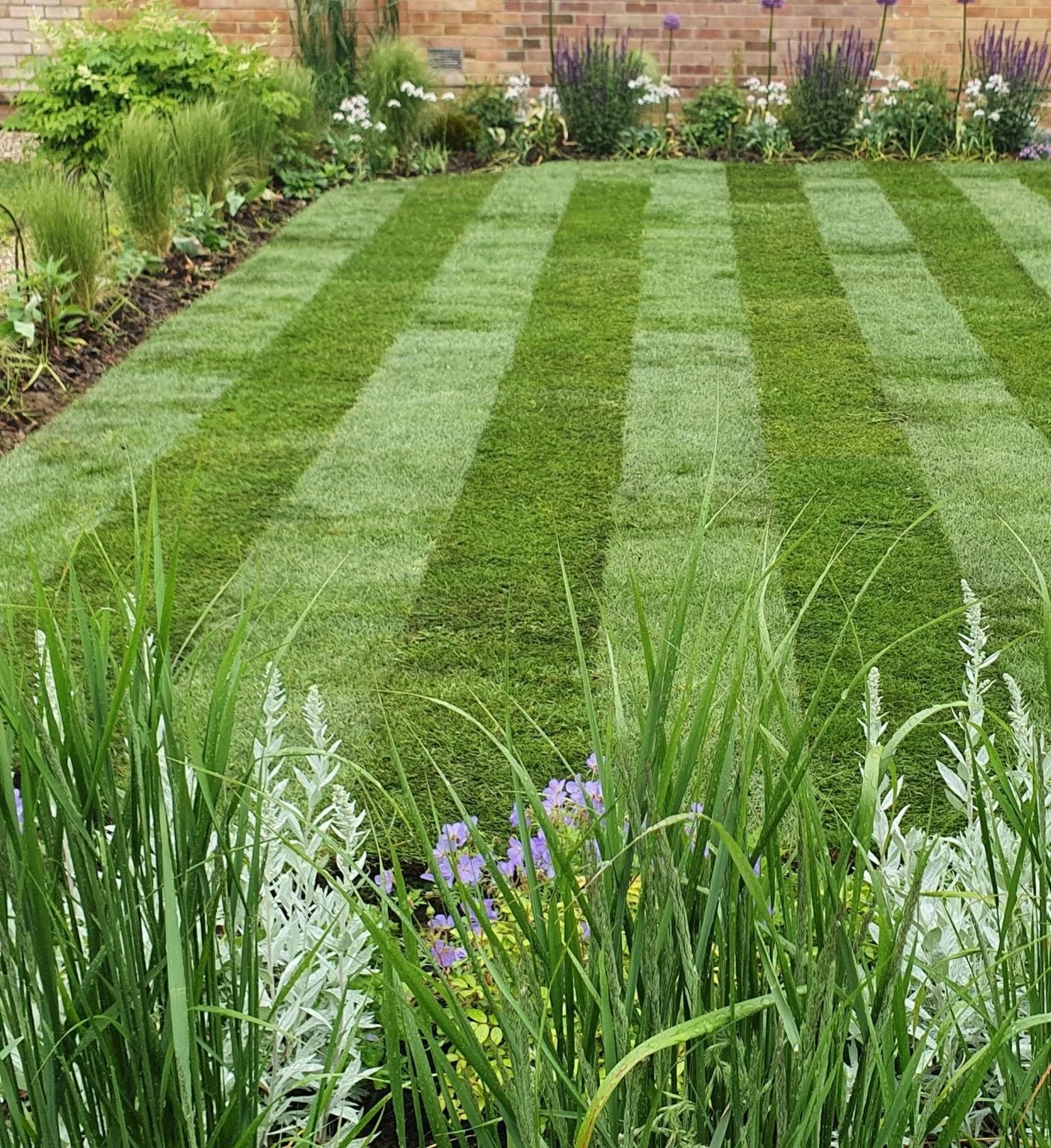 A well-maintained backyard garden with striped green grass, surrounding plants, flowers, and a brick wall background.