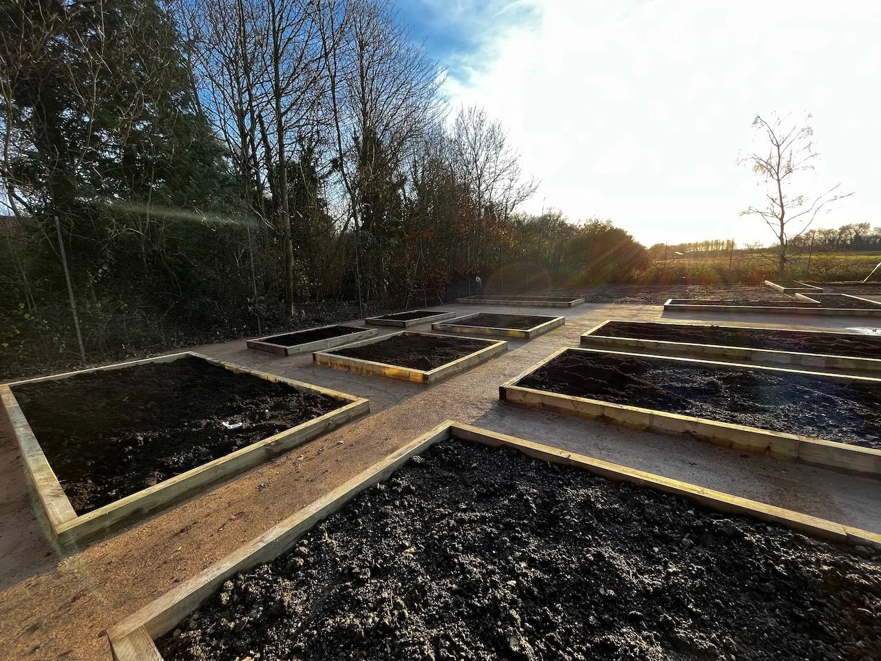 Multiple raised garden beds filled with soil on a concrete surface, with leafless trees and a partly cloudy sky in the background.