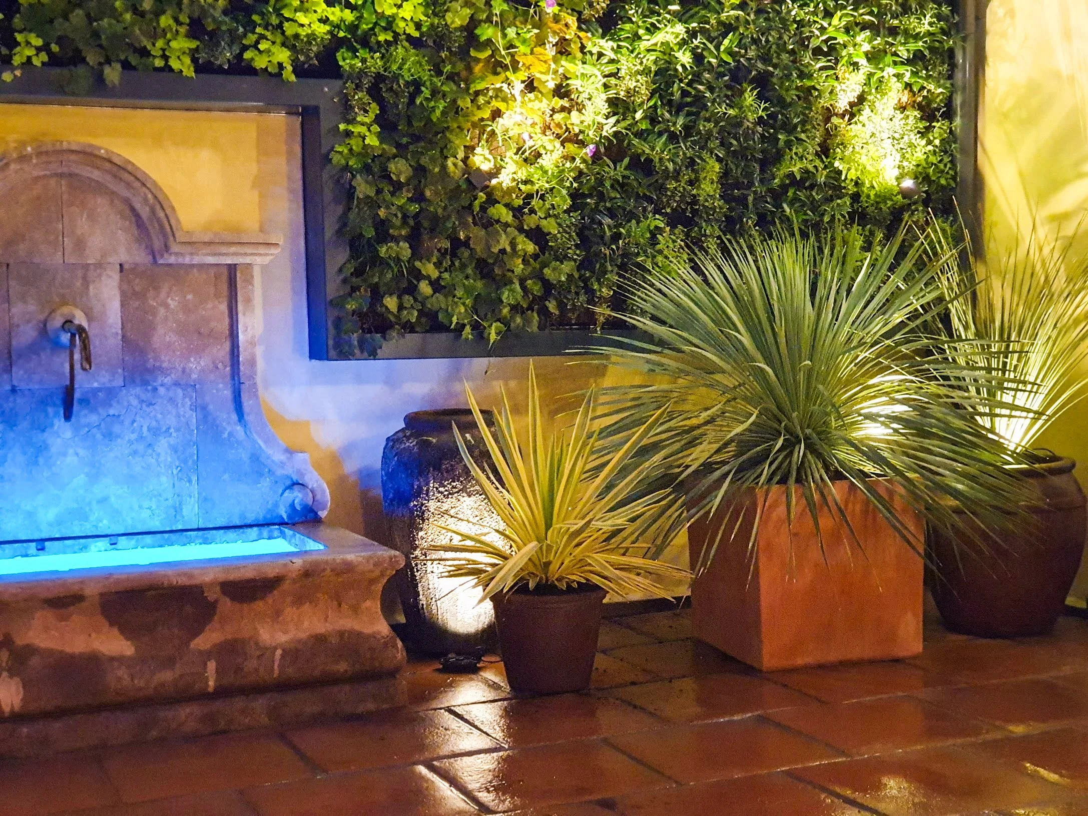 Nighttime outdoor scene featuring courtyard garden design in Cambridge. A stone water feature surrounded by Mediterranean plants a living wall and terracotta floor tiles illuminated by warm yellow and blue lighting.