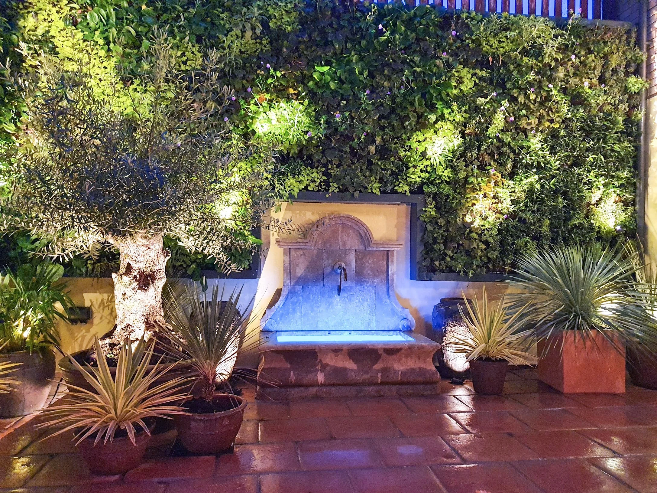 Nighttime view of a Mediterranean style courtyard garden ib Cambridge after the work has been completed, with a green wall, professionally illuminated by garden lights, with potted plants in the foreground and a stone water feature at the back.