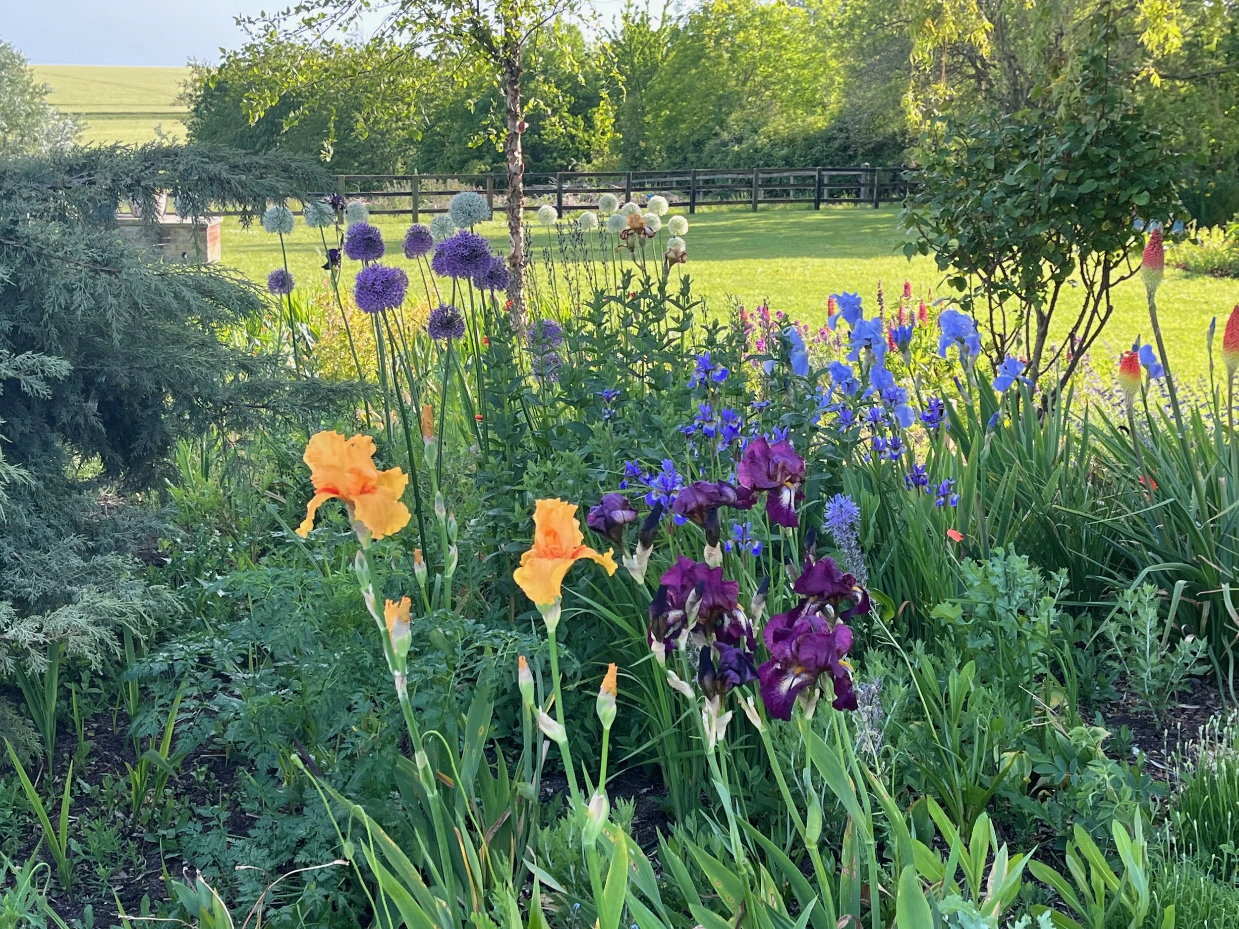IMG_4388.jpeg
