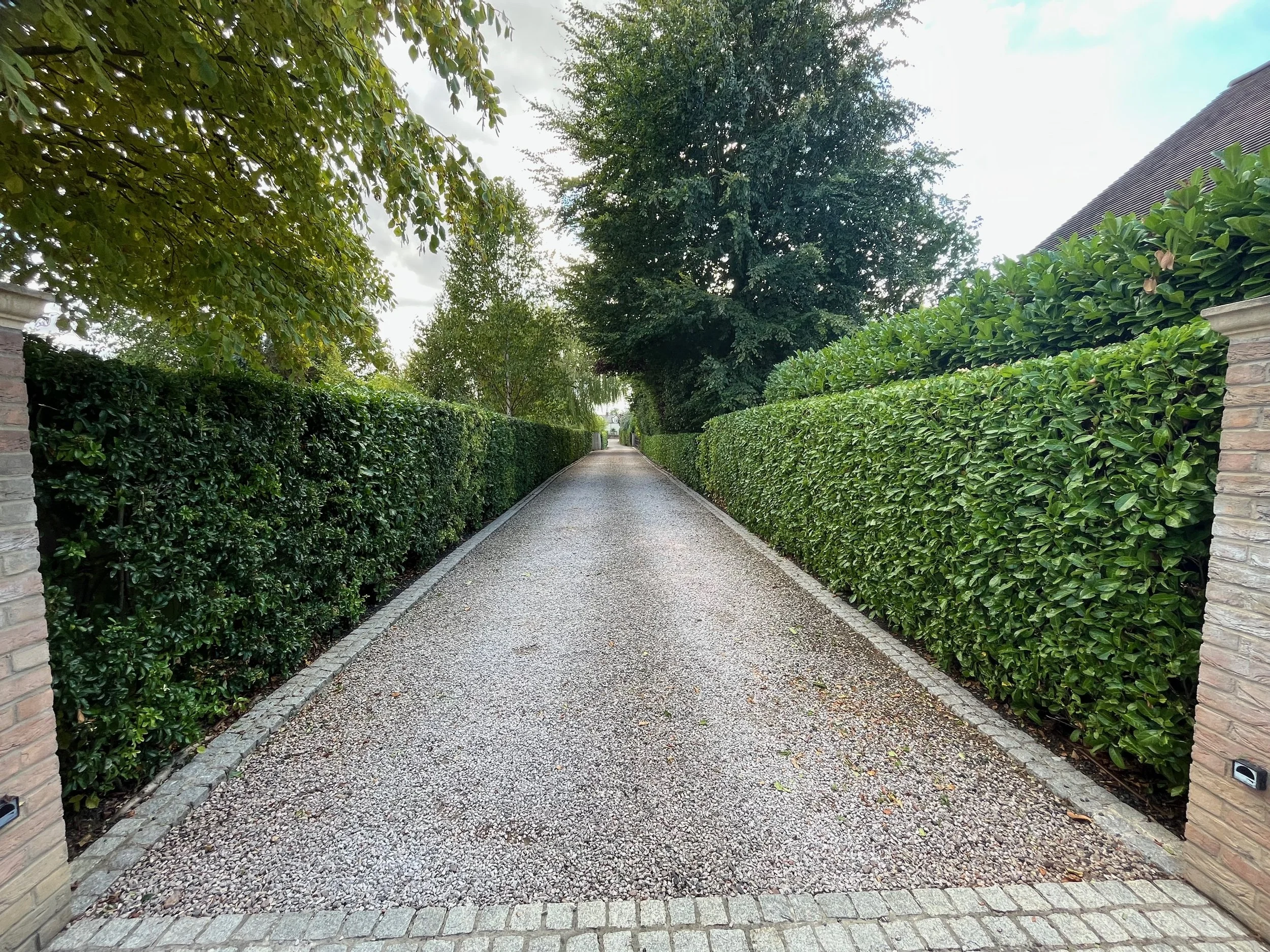 A narrow gravel pathway bordered by lush green hedges on both sides, leading towards a distant house with a sloped roof. Tall trees with broad leaves overhang the pathway, and the sky above is cloudy with patches of light shining through.