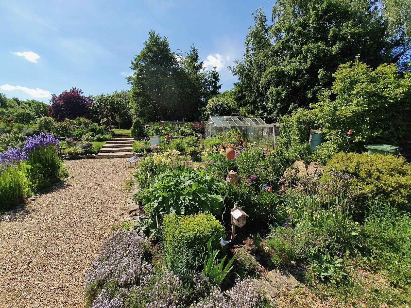 A lush green garden with colorful flowers, potted plants, a greenhouse, and stone steps leading up to a wooded area on a sunny day.