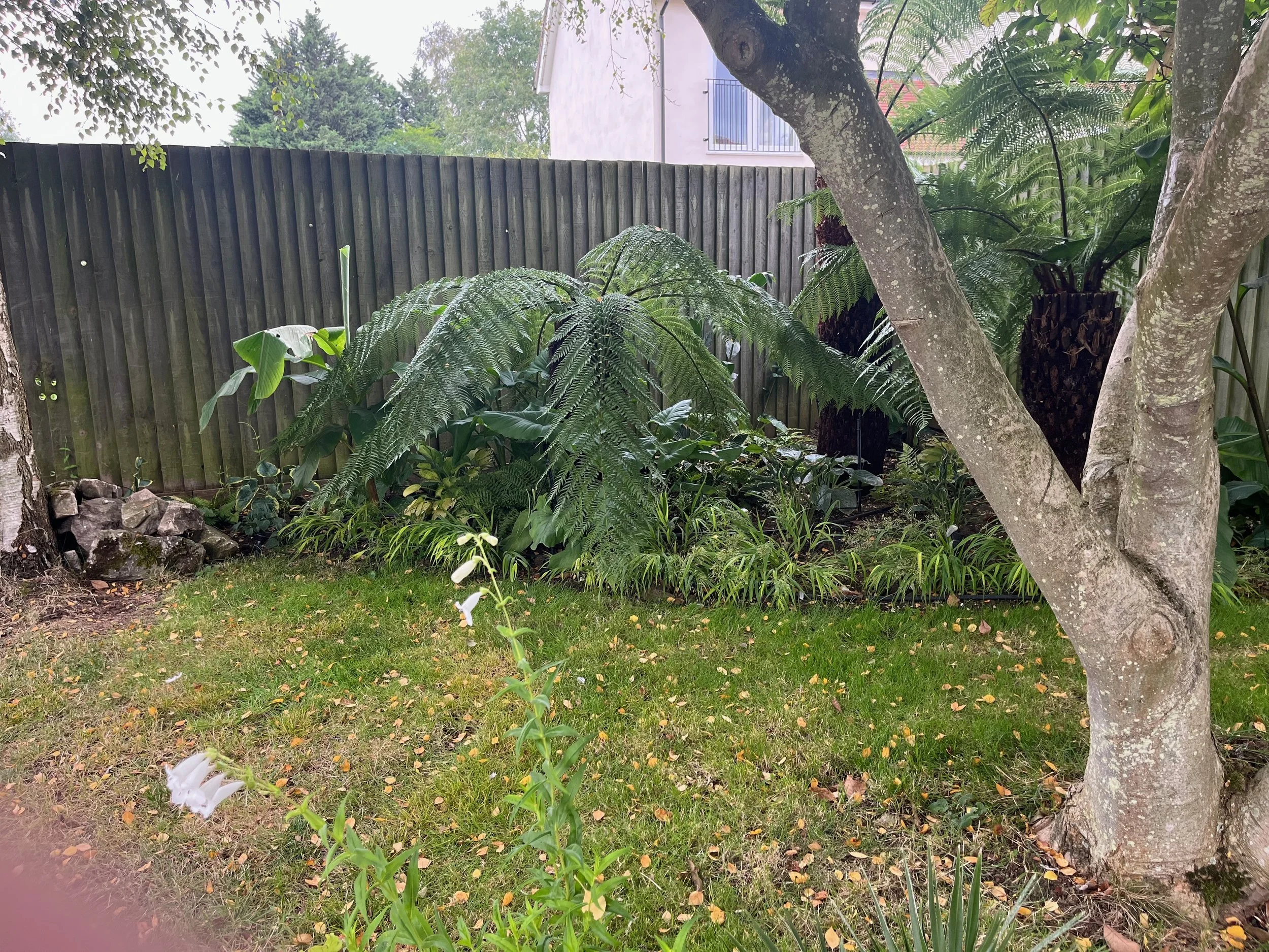 IMG_5322 (1).jpeg