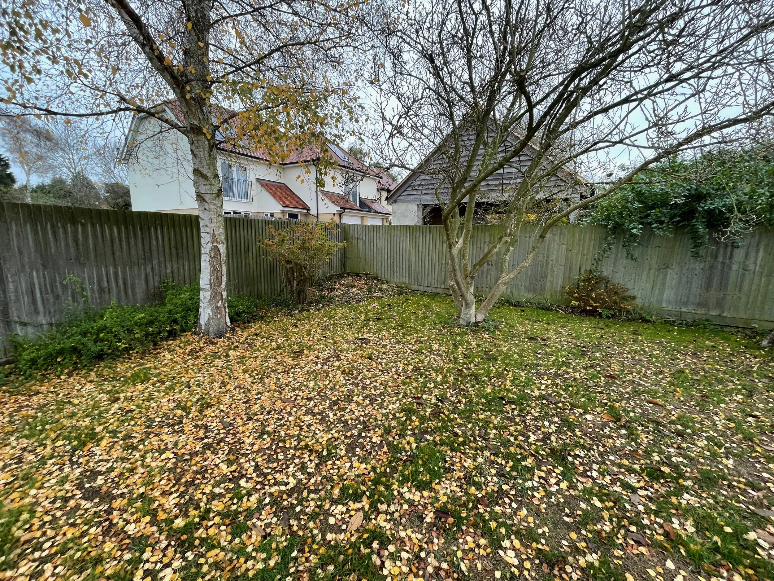 A back garden before landscaping and planting with leafless trees, a wooden fence, and falling autumn leaves on the ground.