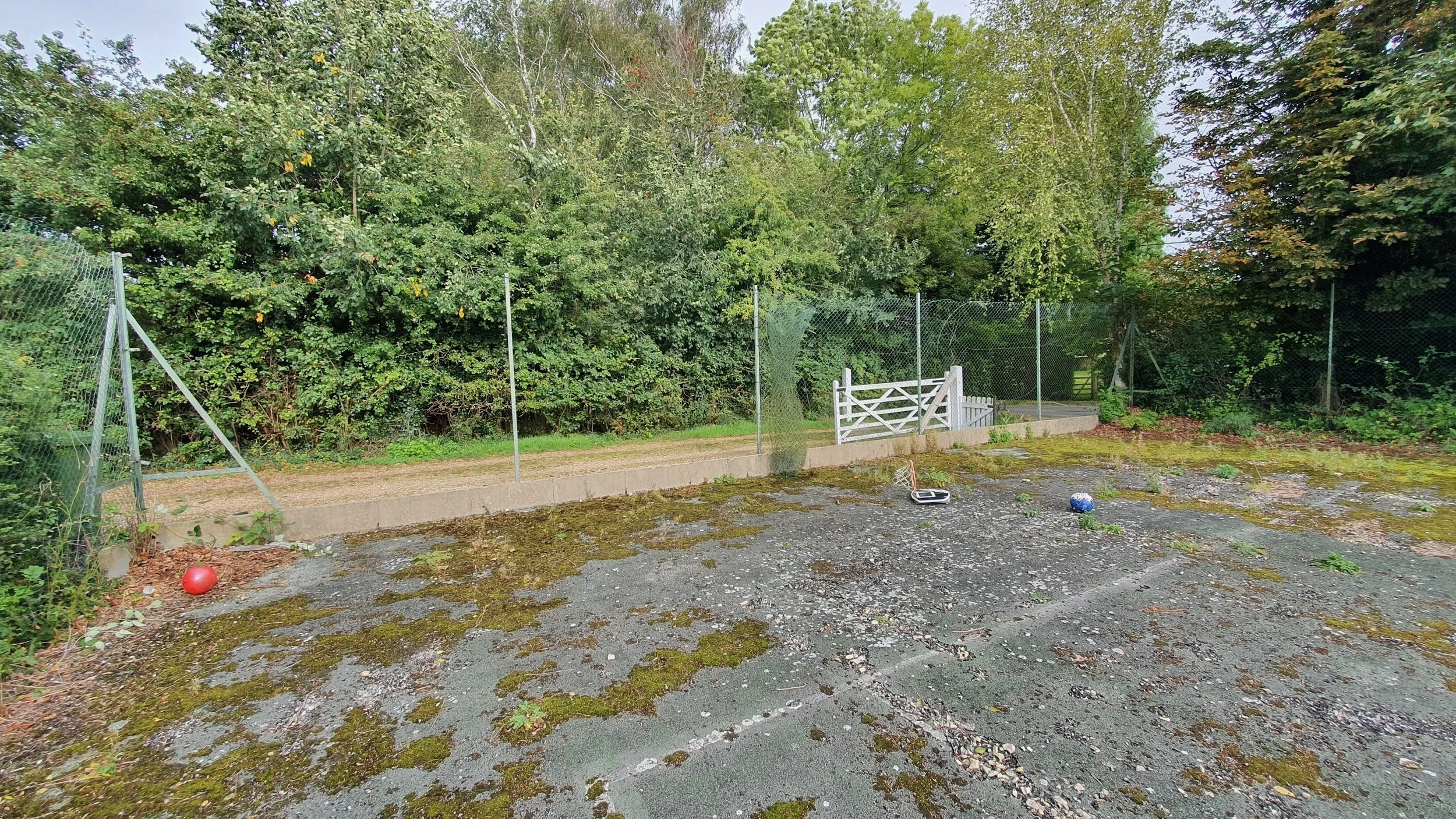 An outdoor scene with a gravel-covered ground with patches of moss, some scattered objects including a red ball, a drone, and a blue ball. A chain-link fence runs across the background with greenery and trees behind it. There is a small white gate on
