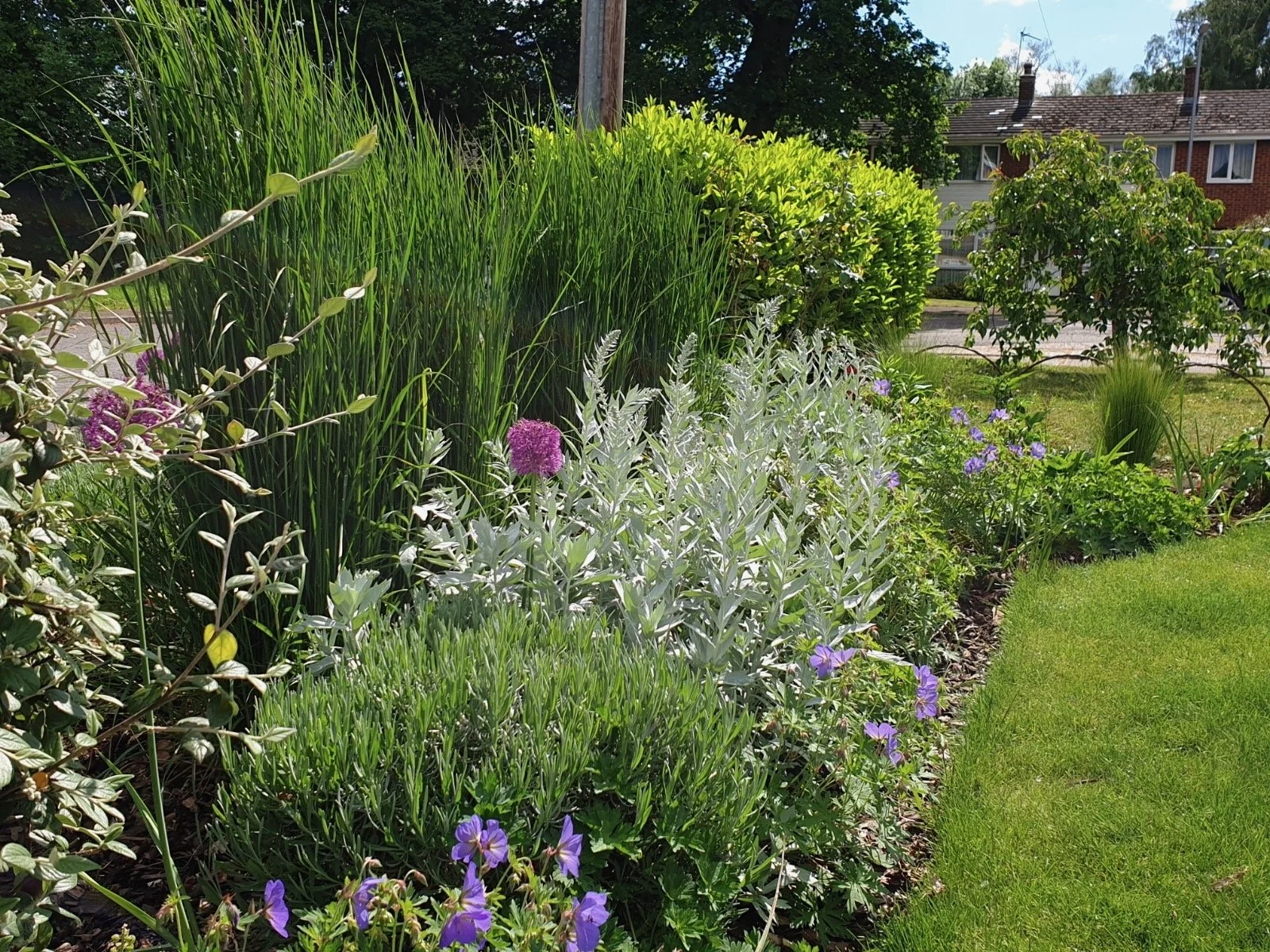 A lush garden with various flowering plants, green grasses, bushes, and a neatly trimmed lawn, with a house and trees in the background on a sunny day.