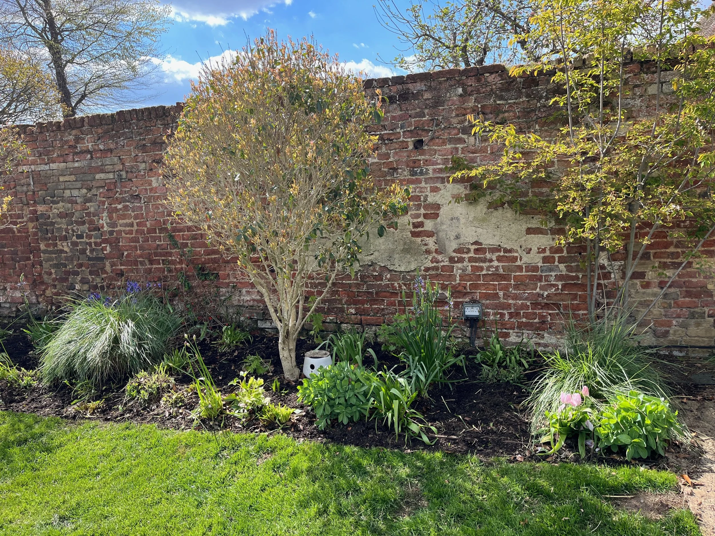 A small garden in front of a weathered brick wall with trees and plants, including blossoming flowers and green foliage, under a partly cloudy sky.