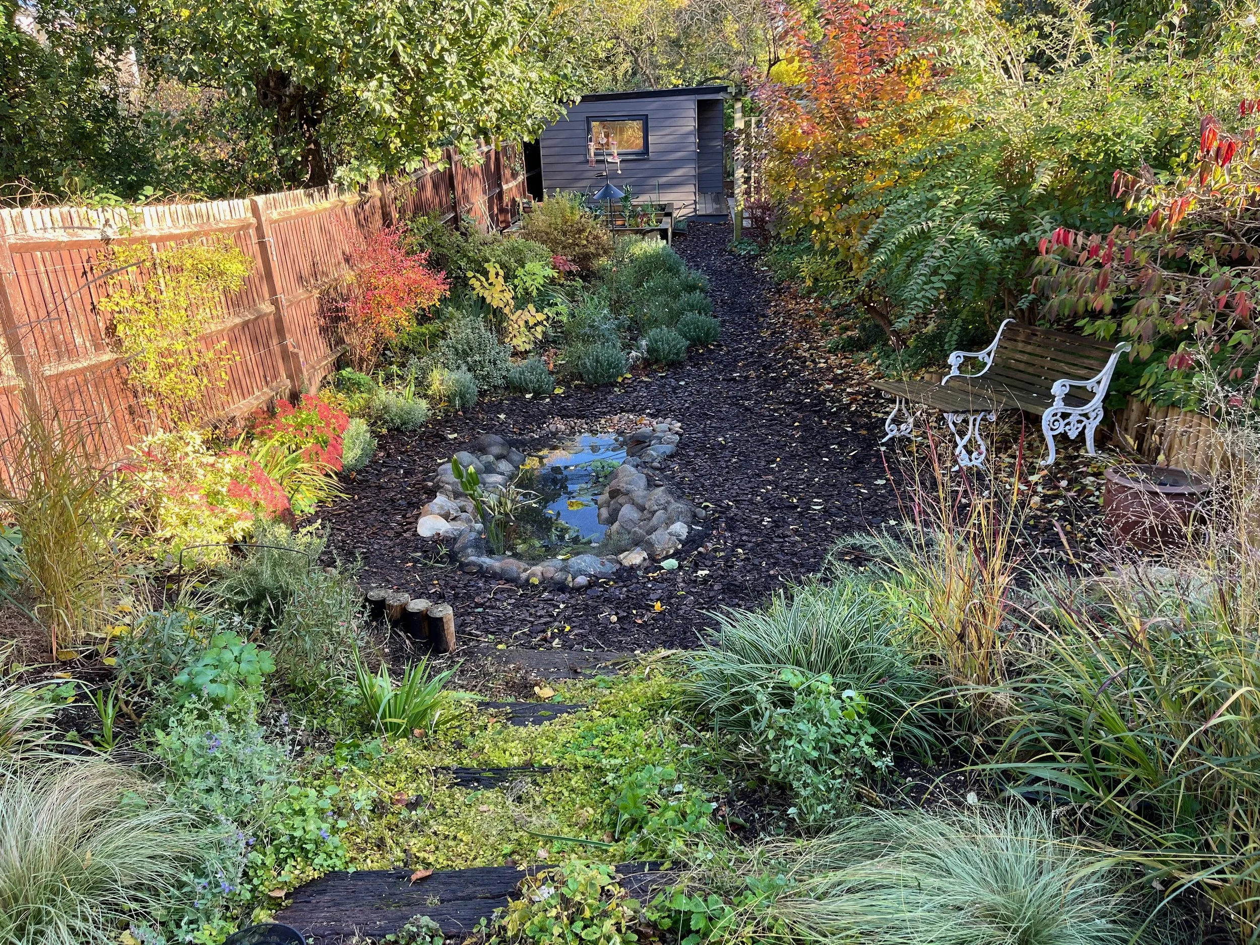 A lush backyard garden with a small pond surrounded by rocks, a variety of plants, shrubs, and trees with colorful leaves, a white garden bench on the right, a black shed in the background, and a wooden fence on the left.