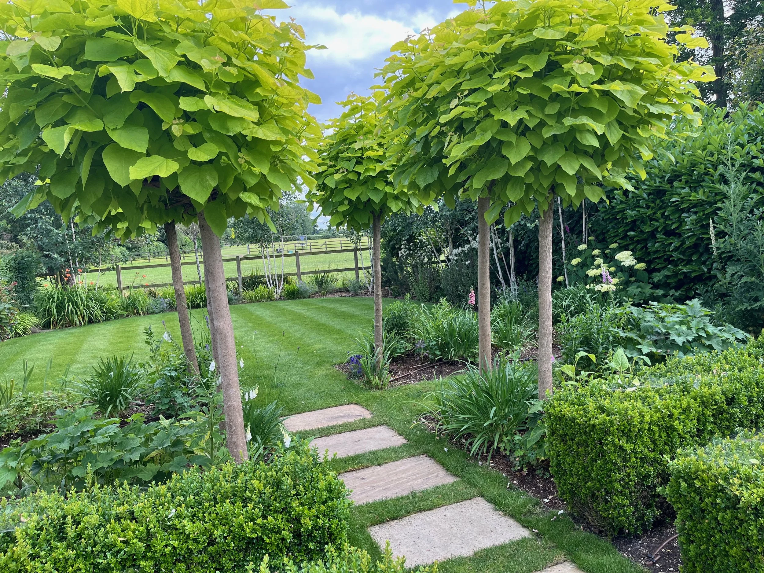 Green trees with vibrant leaves and a well-maintained outdoor garden with a pathway, fencing, and a partly cloudy sky.