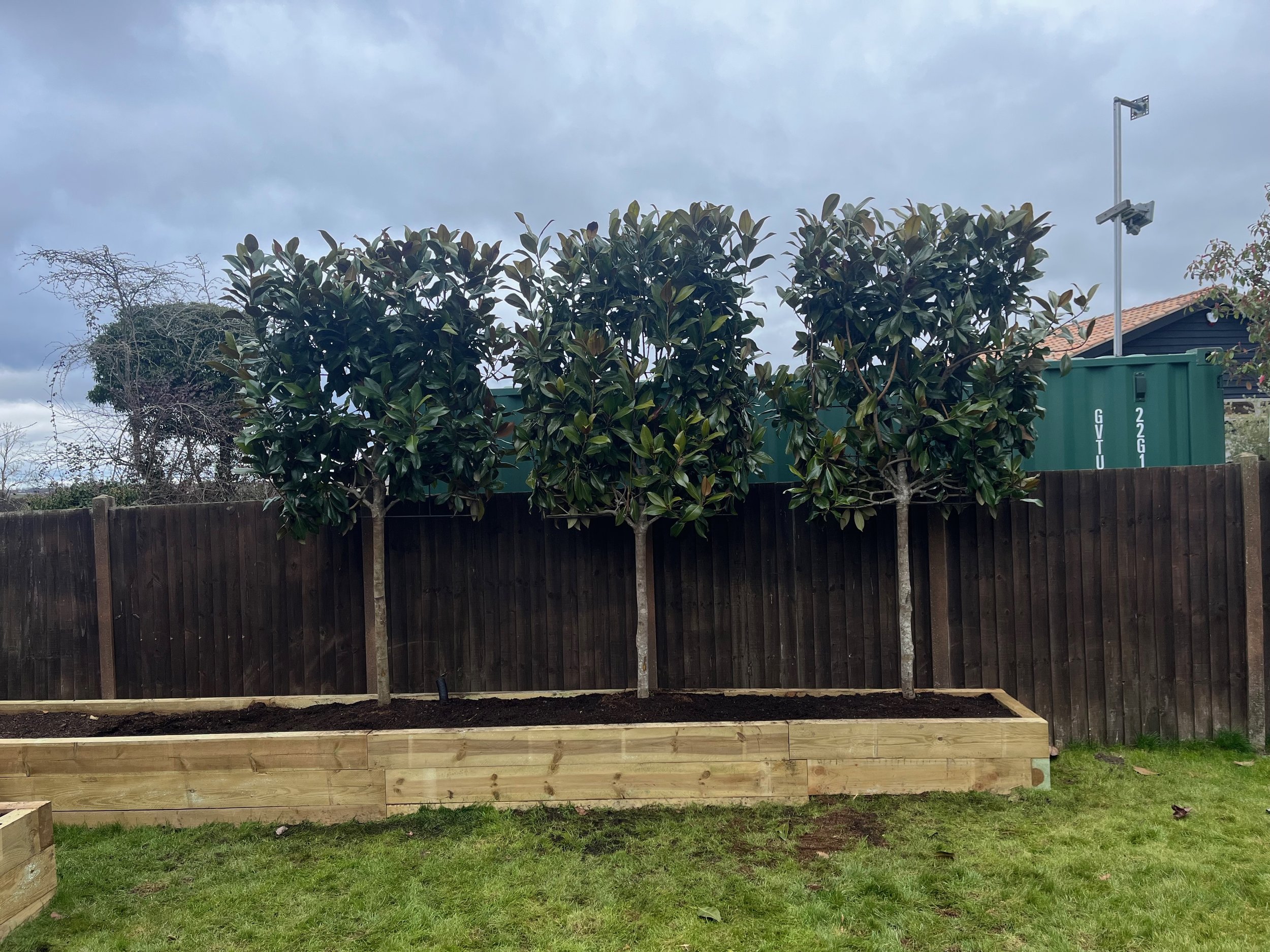 View of a backyard with a wooden fence, four trees planted in a raised wooden garden bed, and a cloudy sky overhead. A green shipping container and two security cameras are visible in the background.