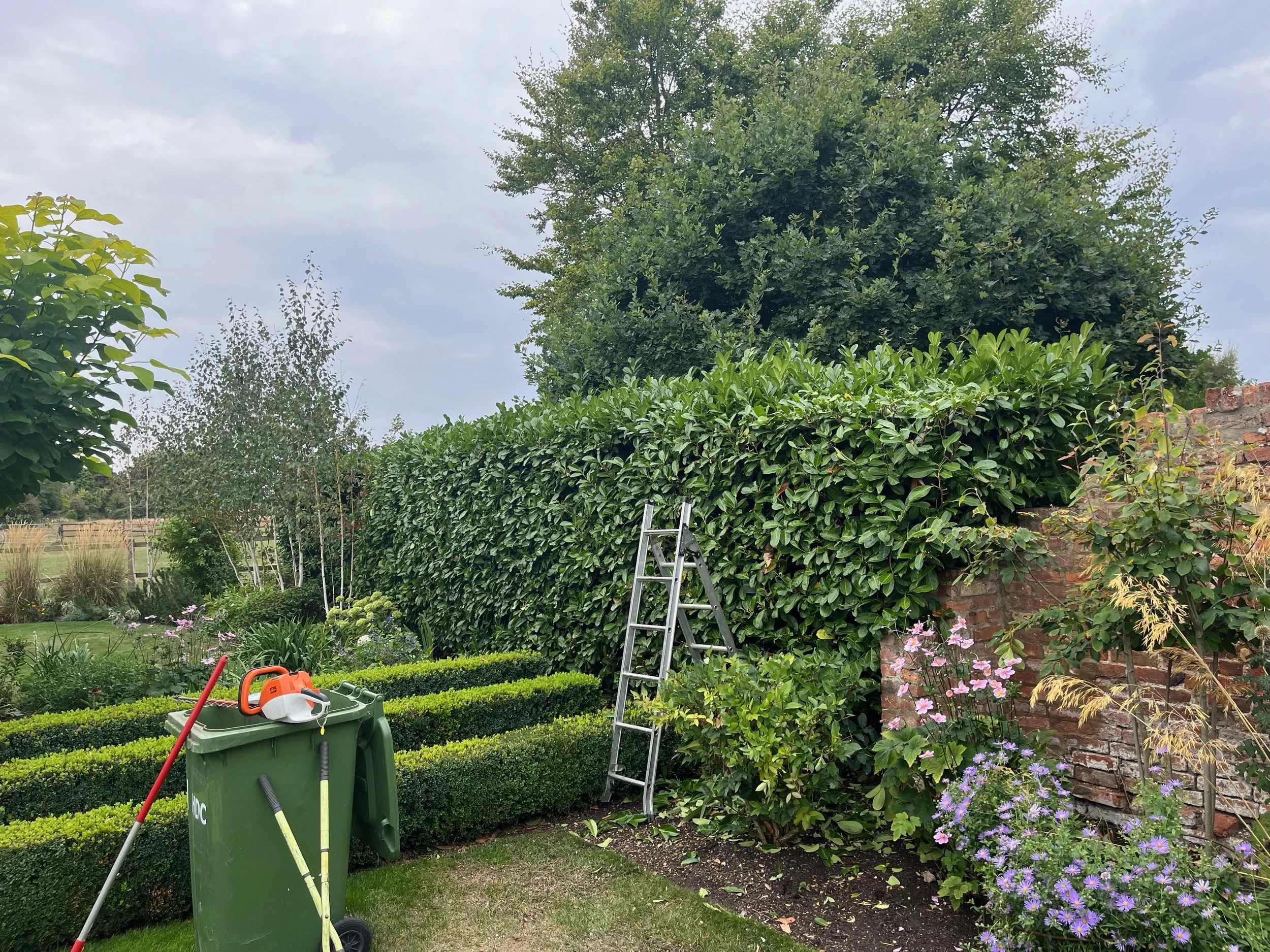 A garden scene with a green trash bin, gardening tools, and a ladder near a brick wall covered in green foliage. Flowering plants and trimmed hedges are in the foreground, with trees and cloudy sky in the background.