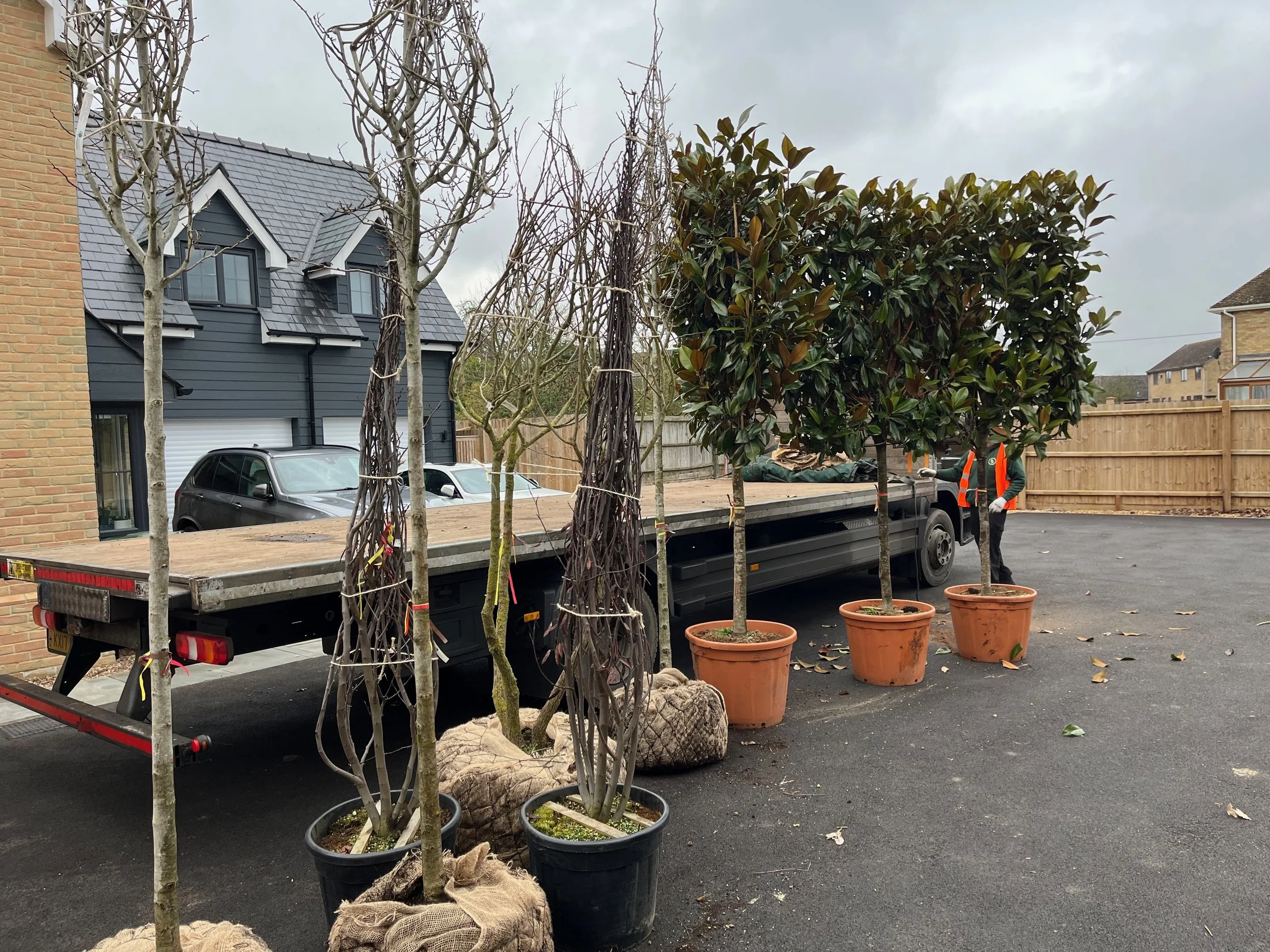 A black flatbed truck carrying potted trees and shrubs parked in a residential driveway. Several potted trees with wire supports and burlap around their bases are visible in the foreground. The house in the background has a brick exterior and a dark 