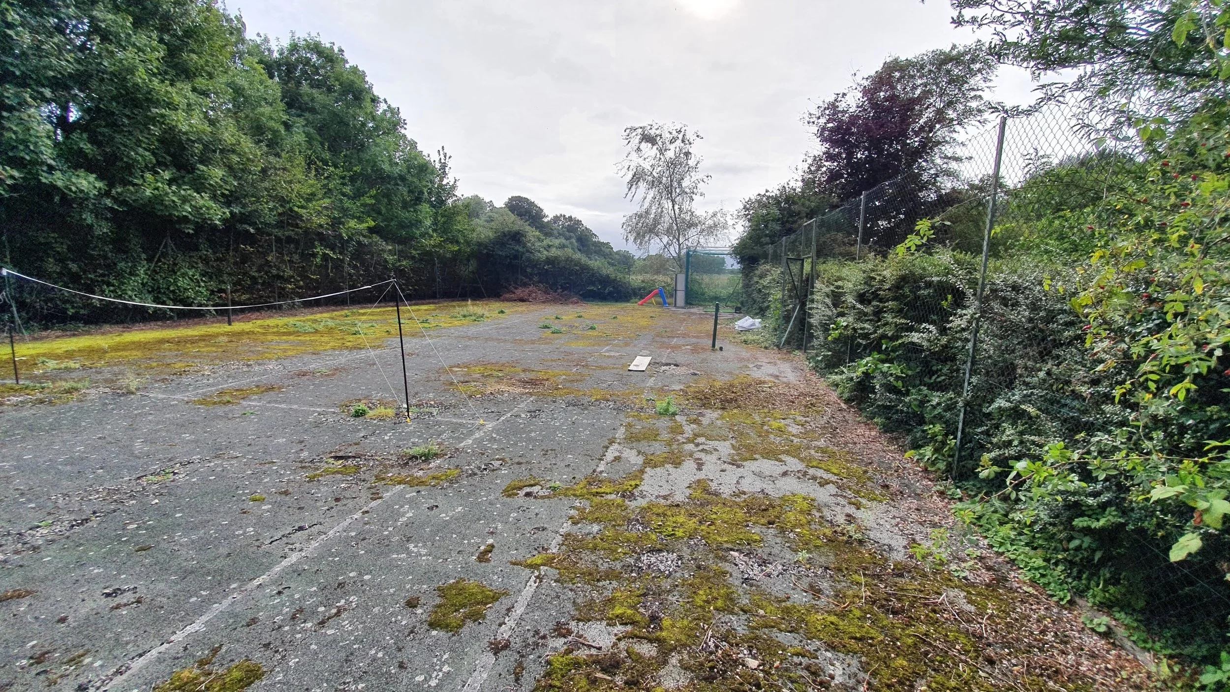 Empty outdoor sports court with moss and weeds growing on the surface, surrounded by dense trees and a chain-link fence.