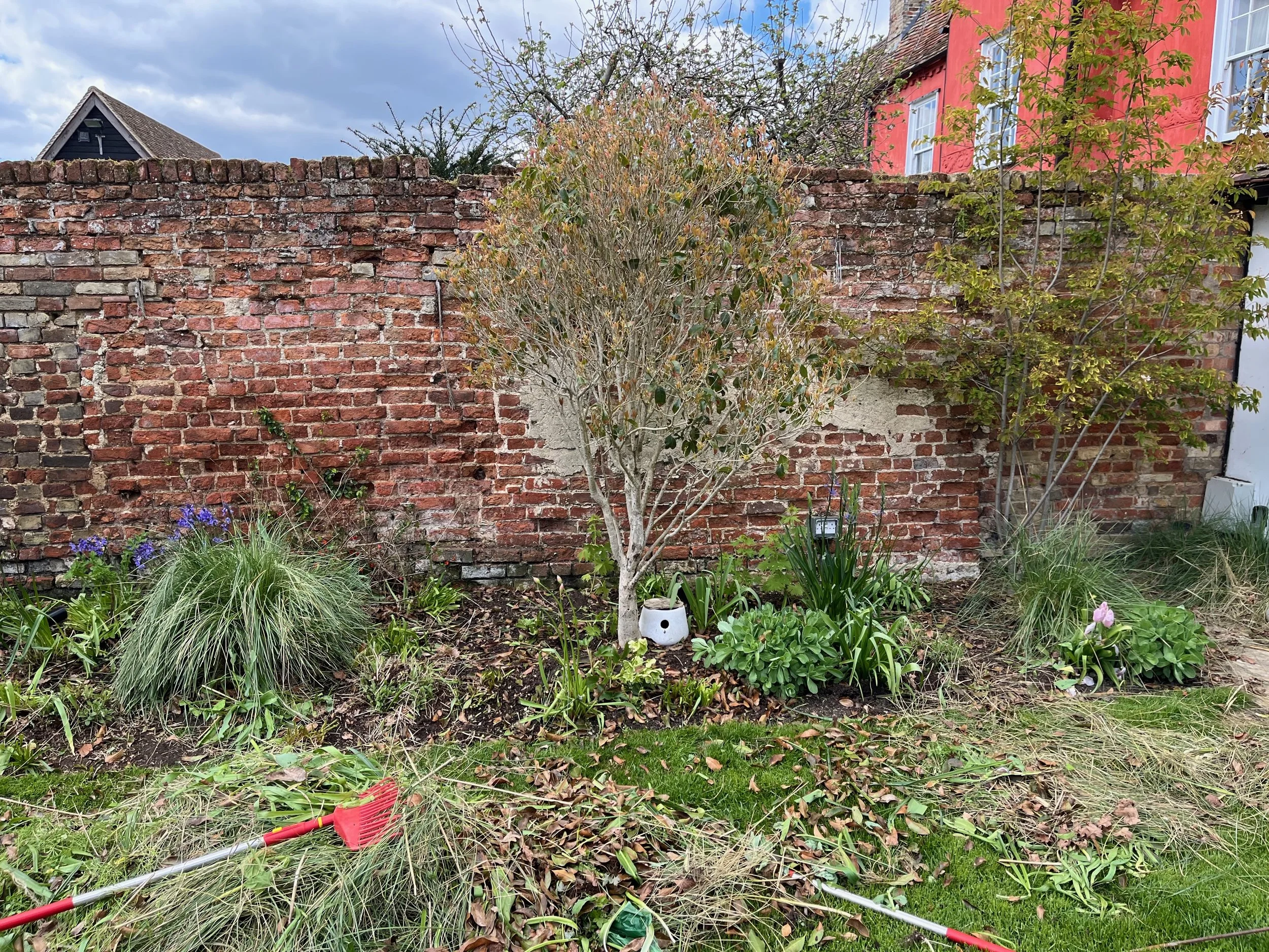 A garden with a brick wall, trees, and various plants, with gardening tools on the ground.