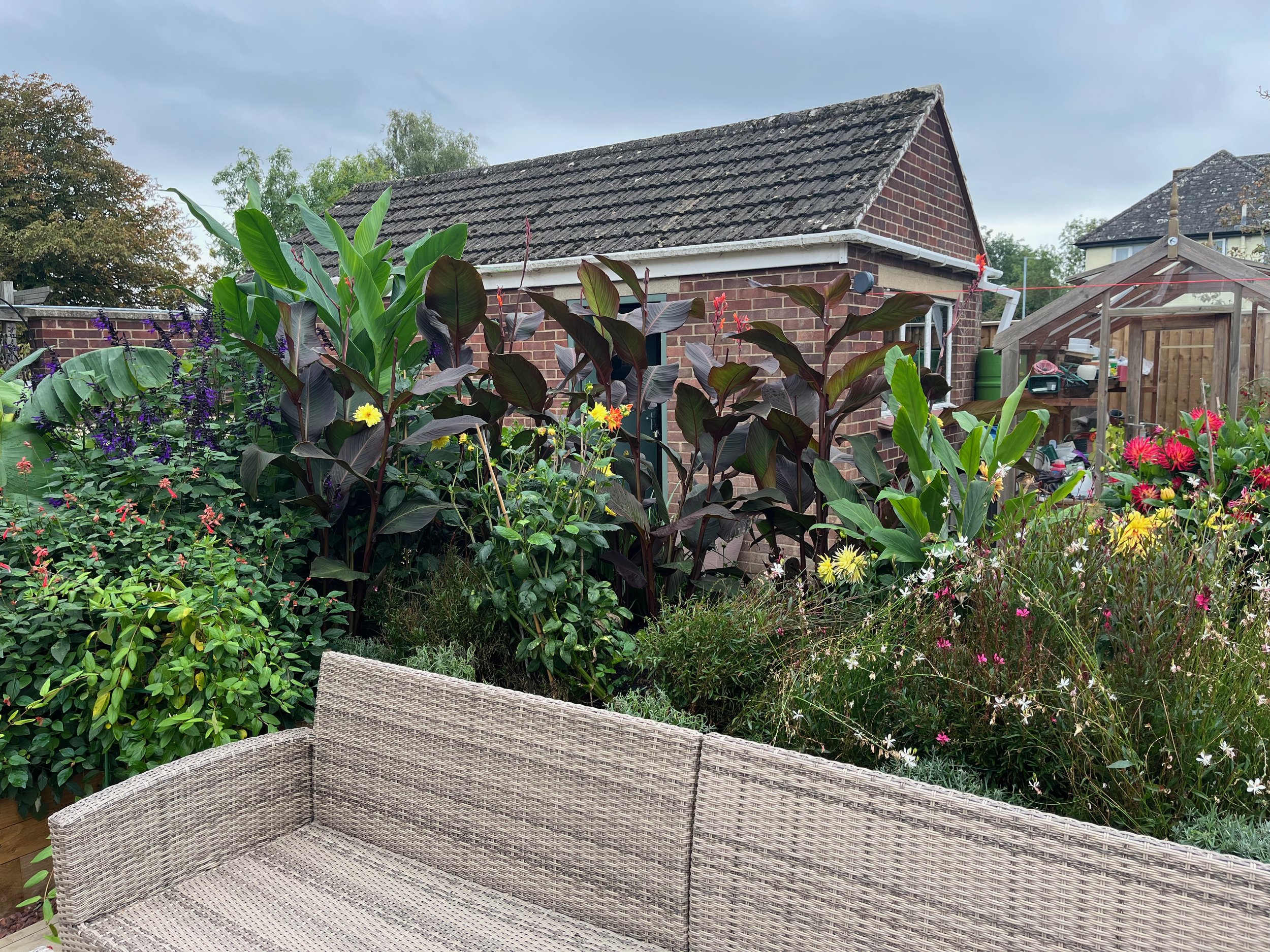 A backyard garden with lush green plants and colorful flowers, a brick house with a shingled roof in the background, a garden greenhouse, and a wicker patio chair.