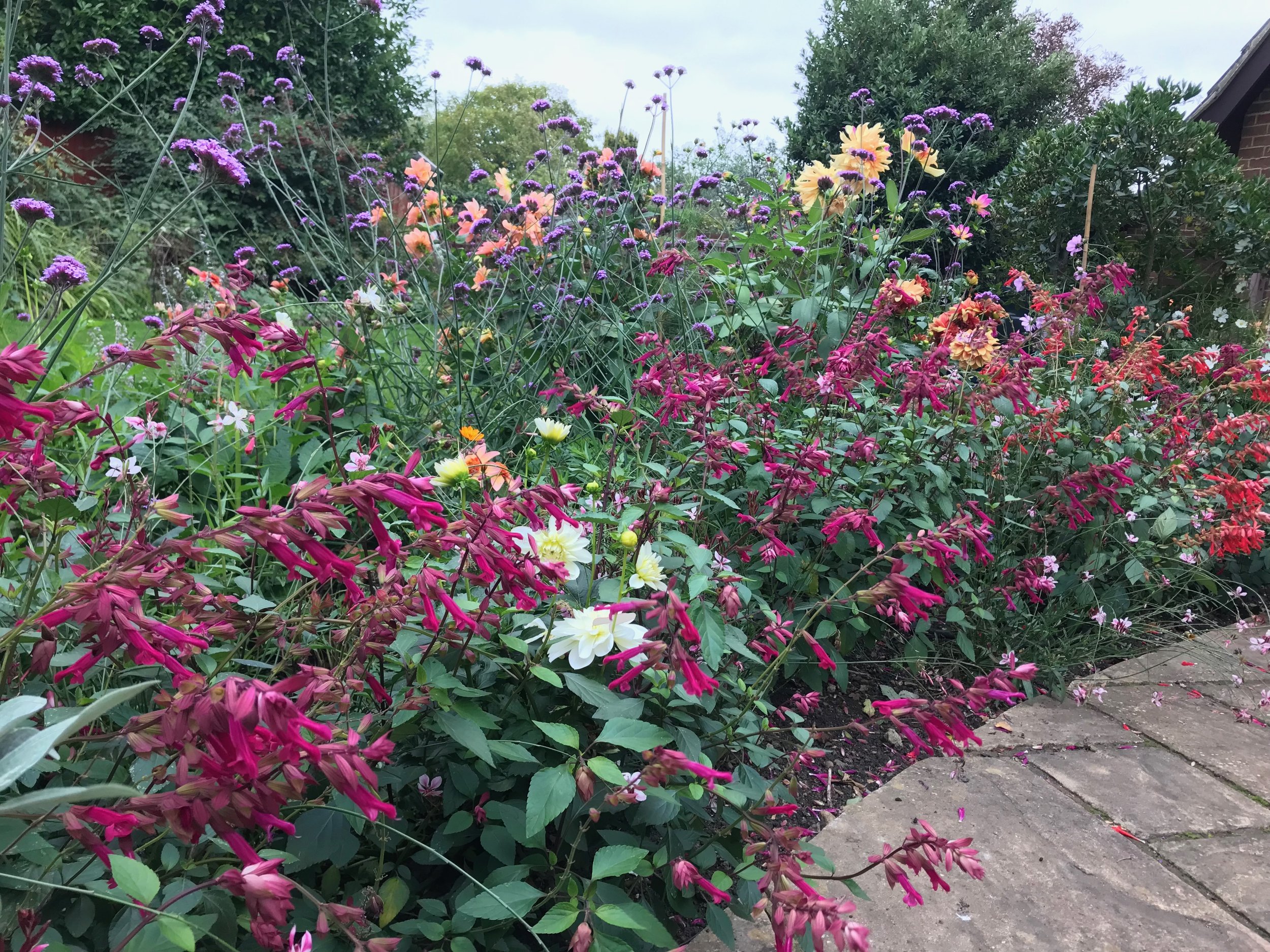 A garden bed with a variety of colorful flowers, including purple, yellow, pink, and white blossoms, next to a paved sidewalk. Shrubs and trees are visible in the background under a cloudy sky.