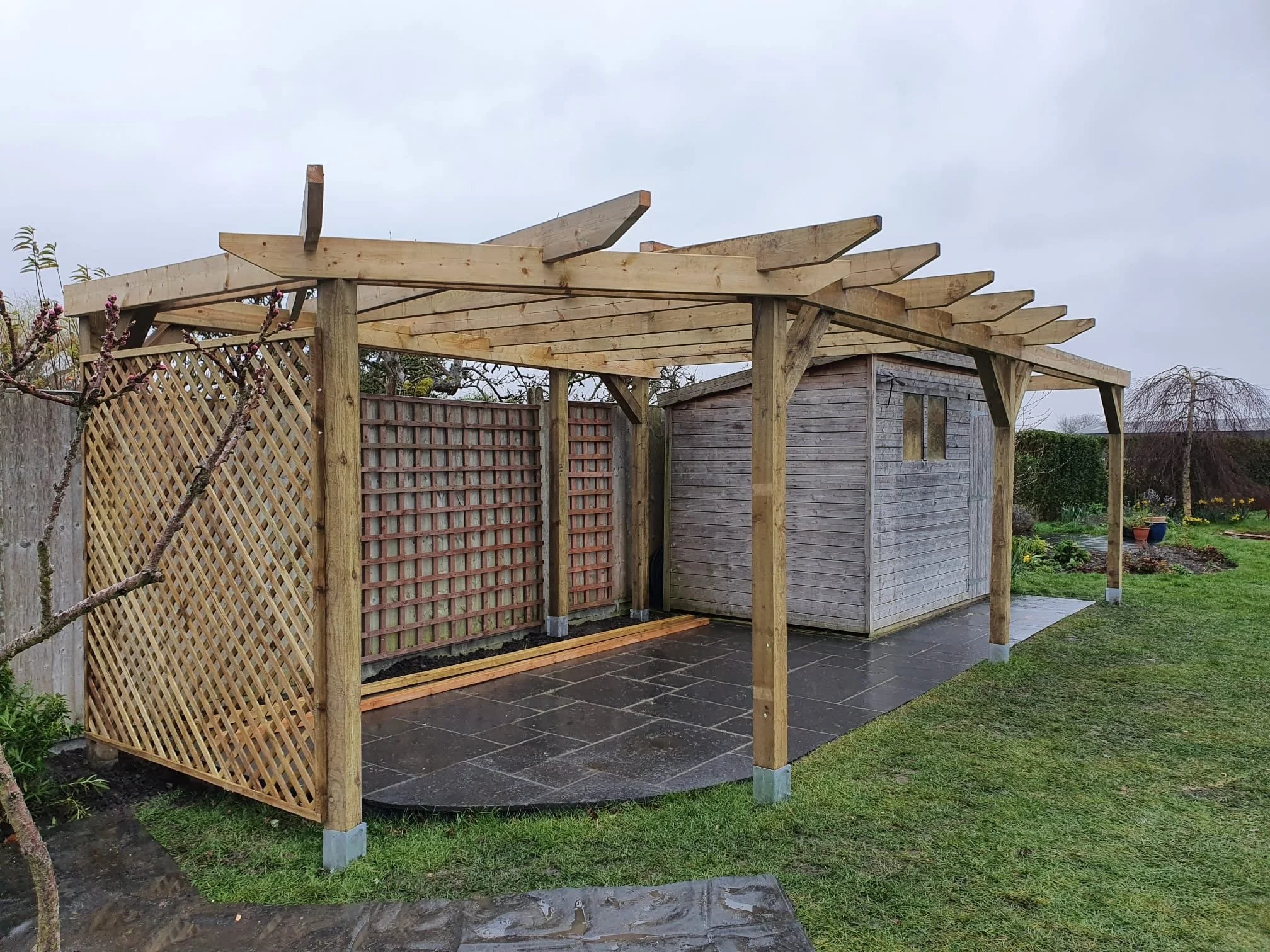 A garden shed with a wooden pergola structure in a backyard. The pergola is partially built with exposed beams, and decorative lattice panels are attached to one side. There is a flowering tree with pink blossoms nearby, and the backyard has some tre