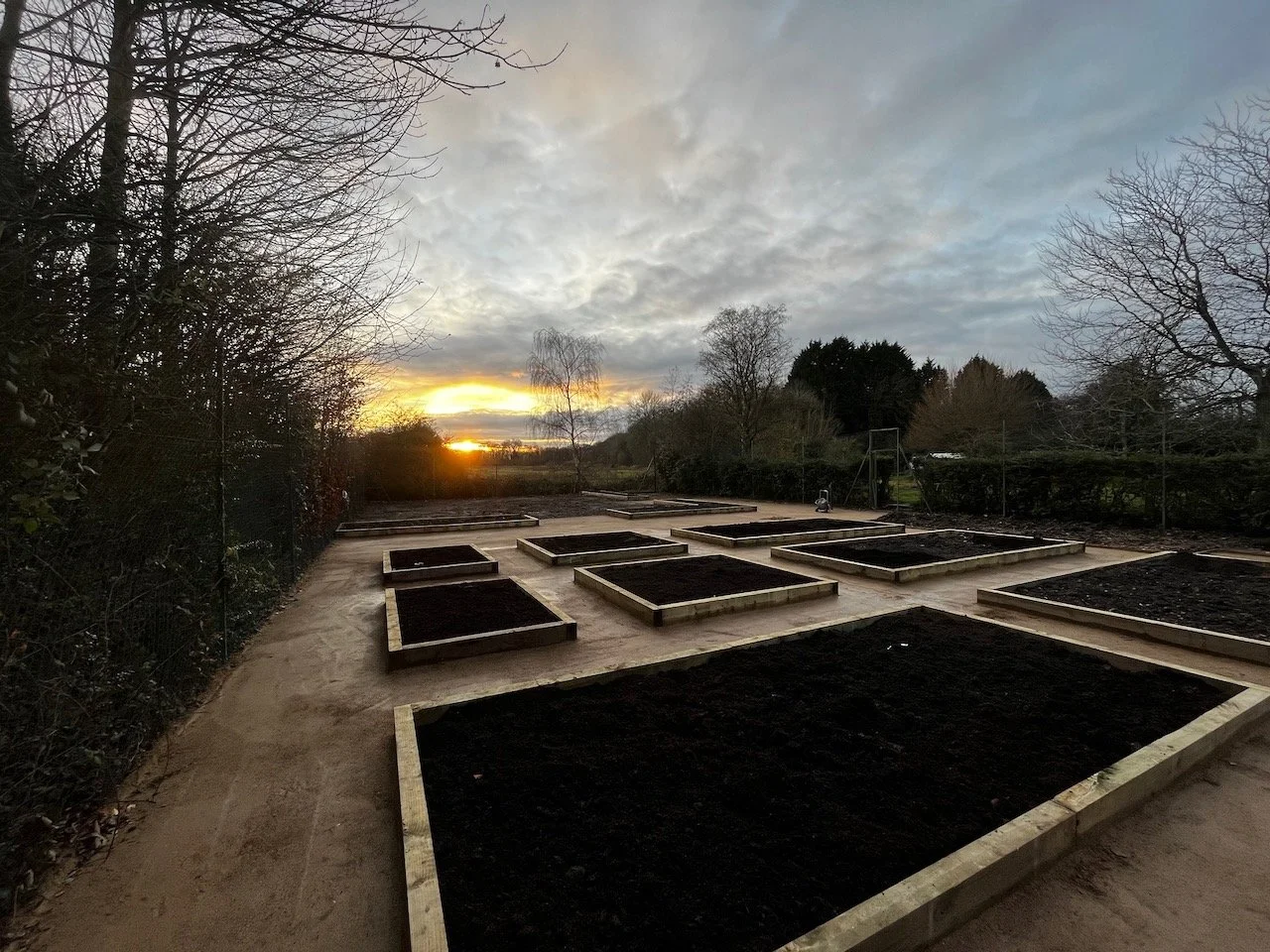 Garden beds with soil at sunset, with trees and cloudy sky in the background.