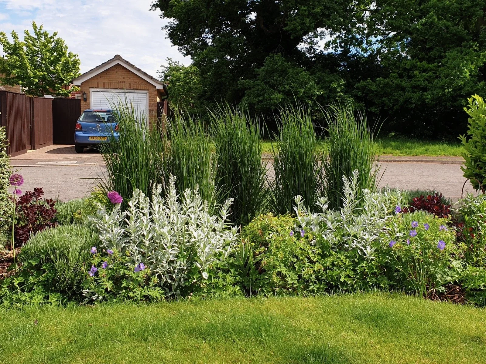 Front yard garden with various flowering plants, green grass, a driveway, a parked blue car, and a garage with a white roller door.