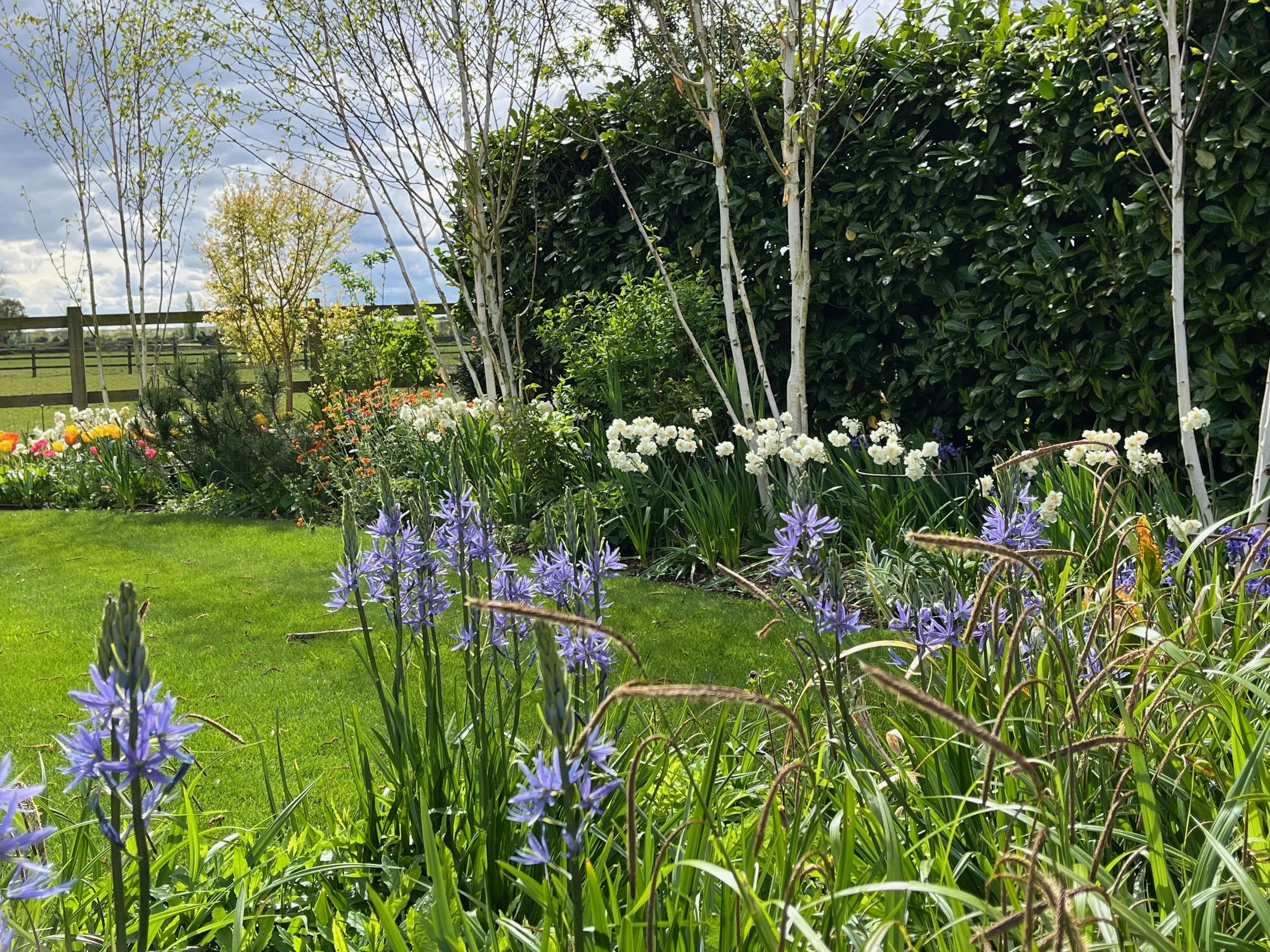 A garden with purple, white, and orange flowers, green grass, and trees with leaves and branches, fenced open field, partly cloudy sky.
