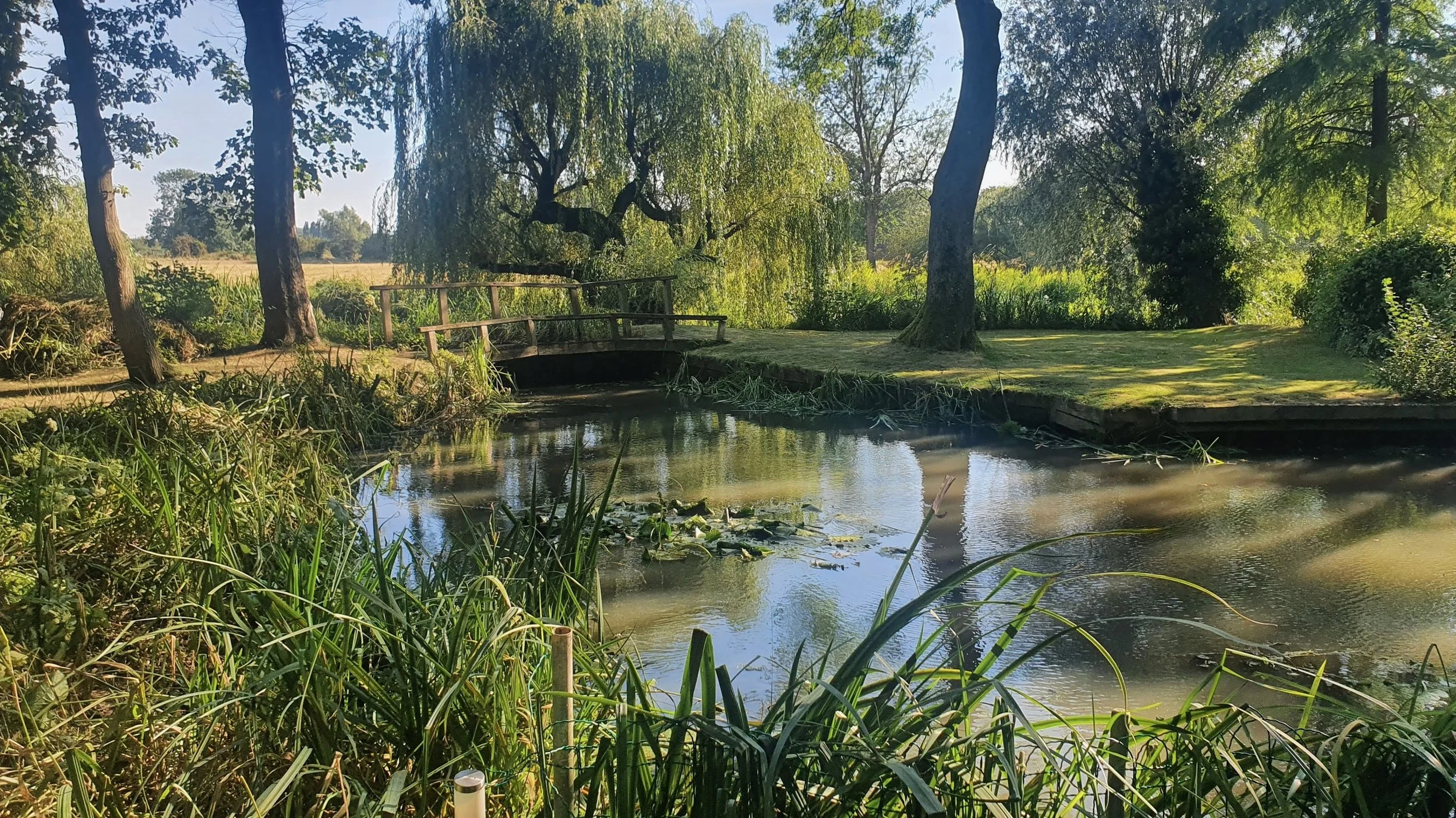 A peaceful scene of a small wooden footbridge over a calm creek surrounded by lush green trees and grass, with reflections in the water.