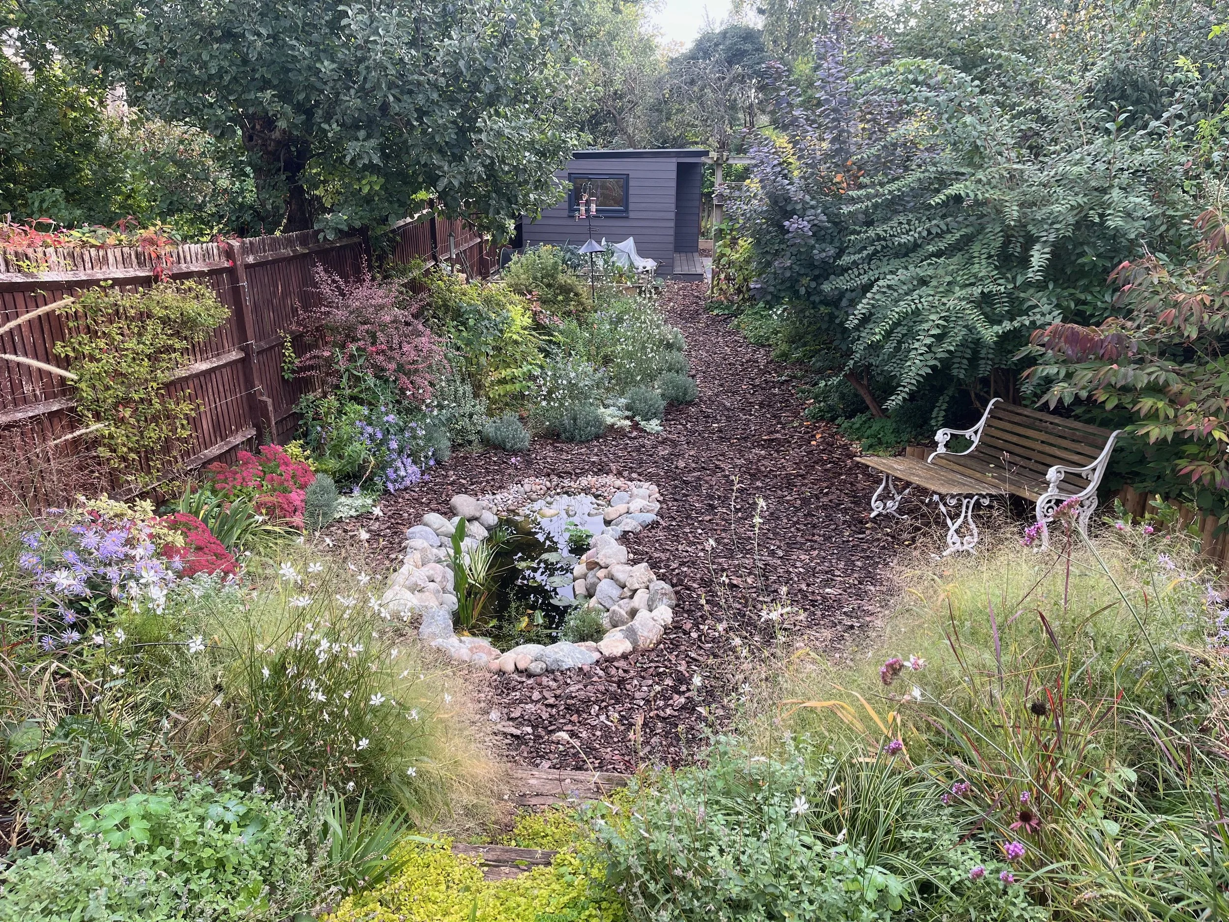 A lush garden with a variety of green plants, a small pond with rocks, a wooden pathway, a white bench on the right, and in the background a small building with a gray exterior.