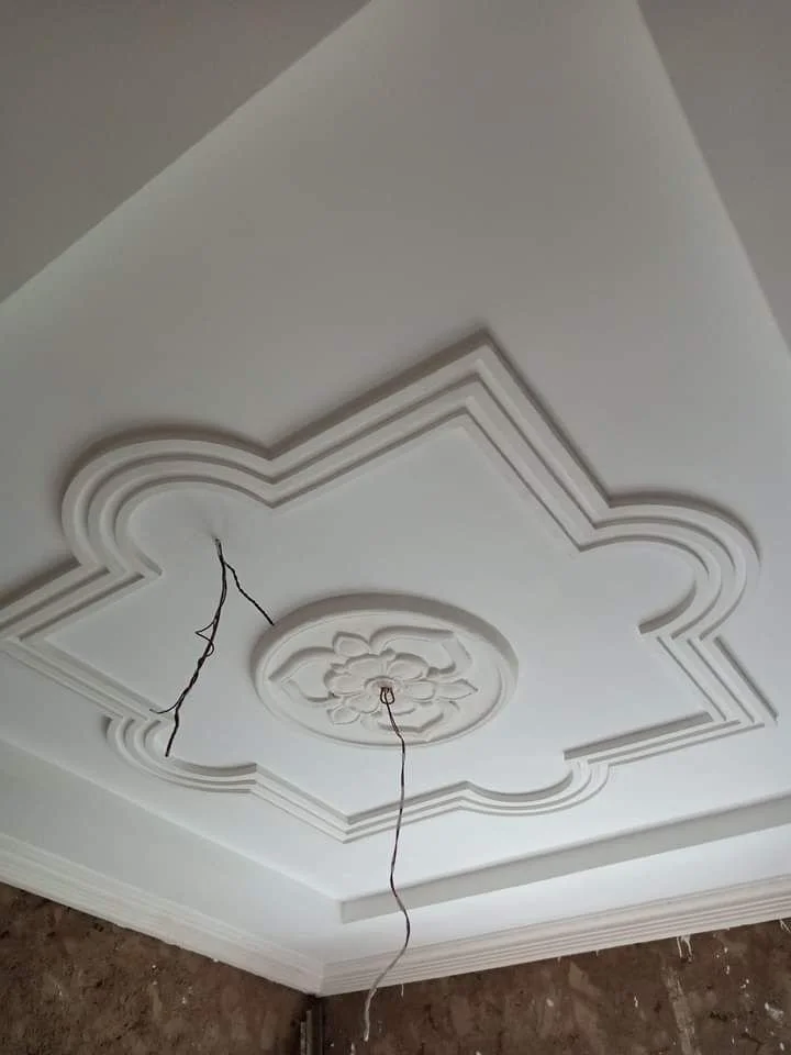 Plafond orné de moulures et d'une rosace centrale, avec deux câbles pendants.