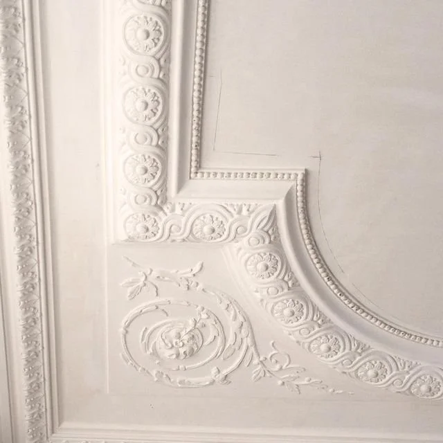 Détail d'un plafond orné de moulures et de motifs décoratifs en stuc blancs.