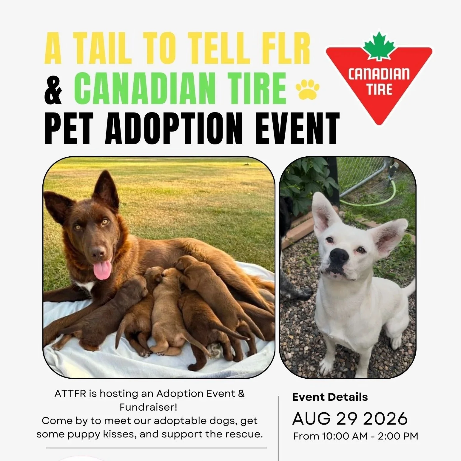 Canadian Tire Adoption Event