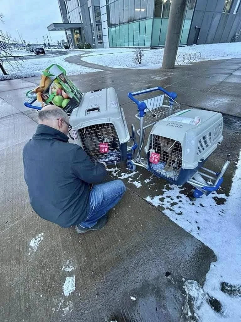 A man with glasses squats on a wet sidewalk next to two pet carriers with cats inside, located outside a modern glass building on a snowy day.